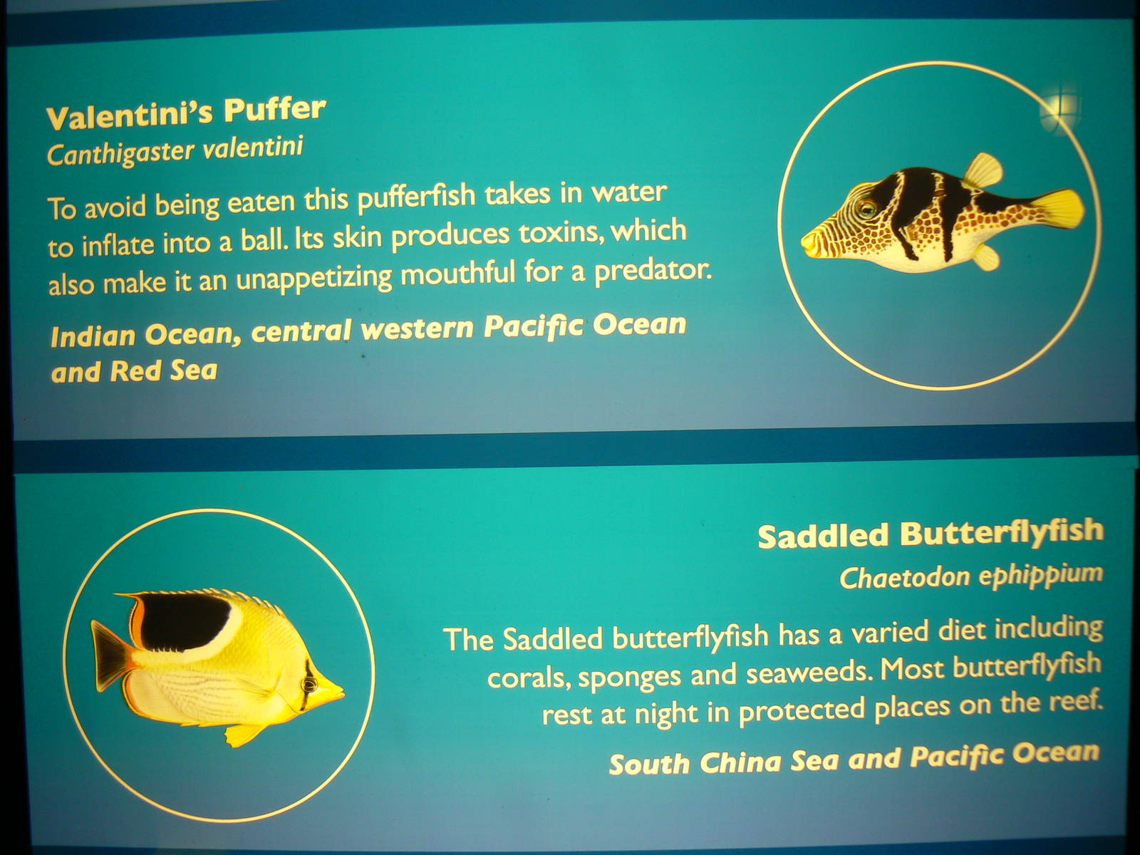 Example of Signage - 26 March 2016