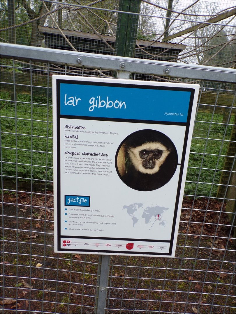 Example of signage 7.5.23