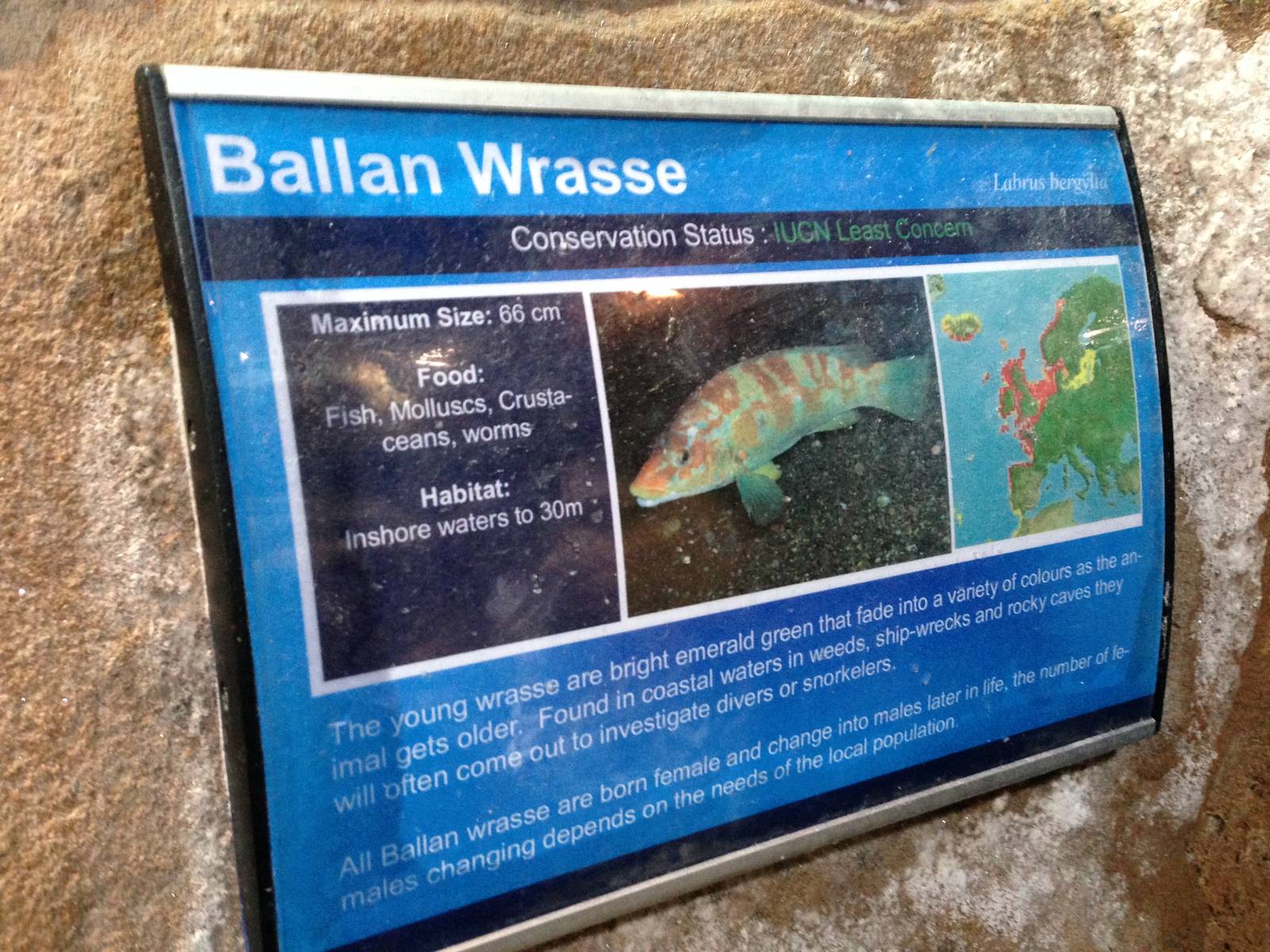Example of Signage at Blue Planet Aquarium - 05/10/2013