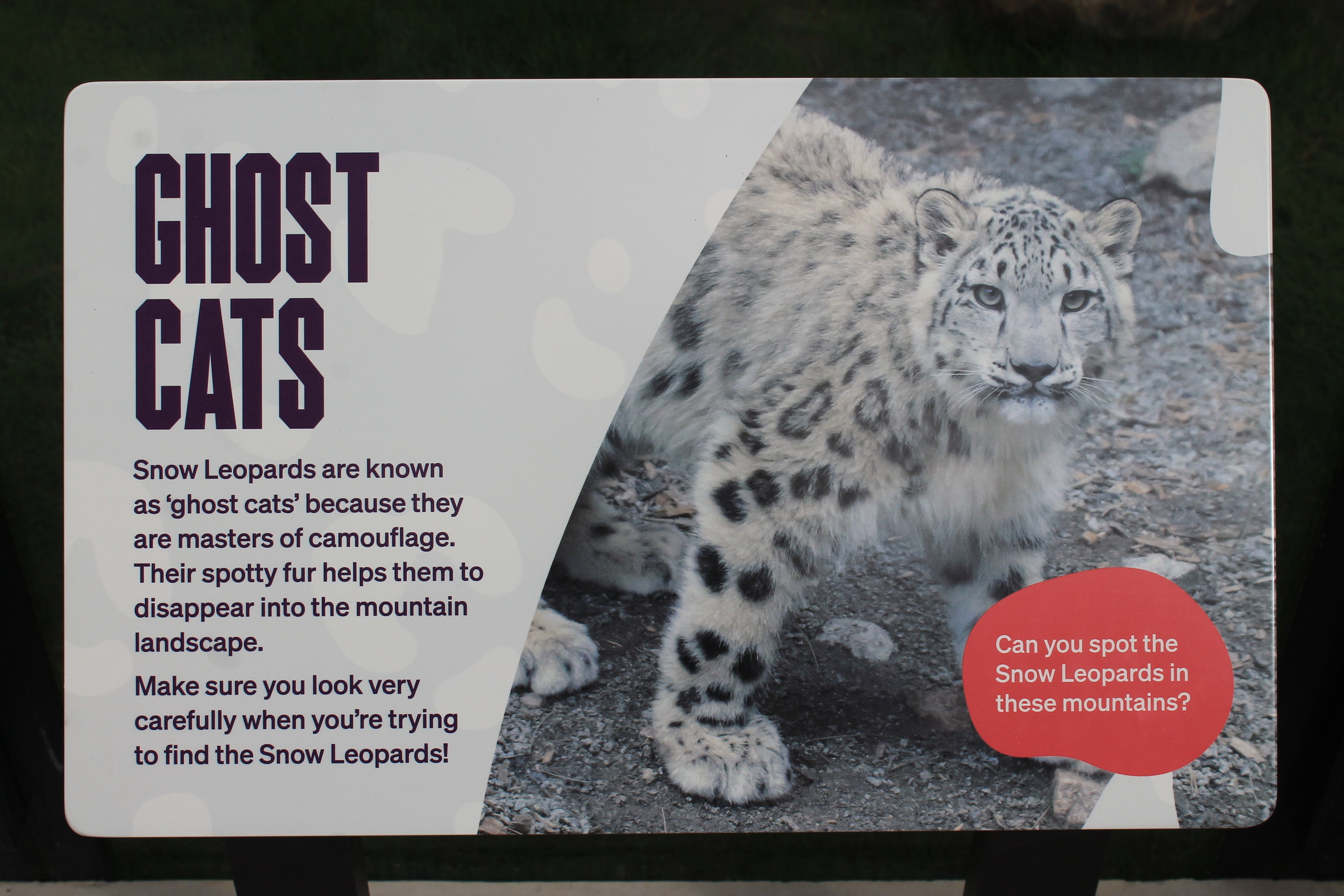 Example of signage at new Snow Leopard enclosure