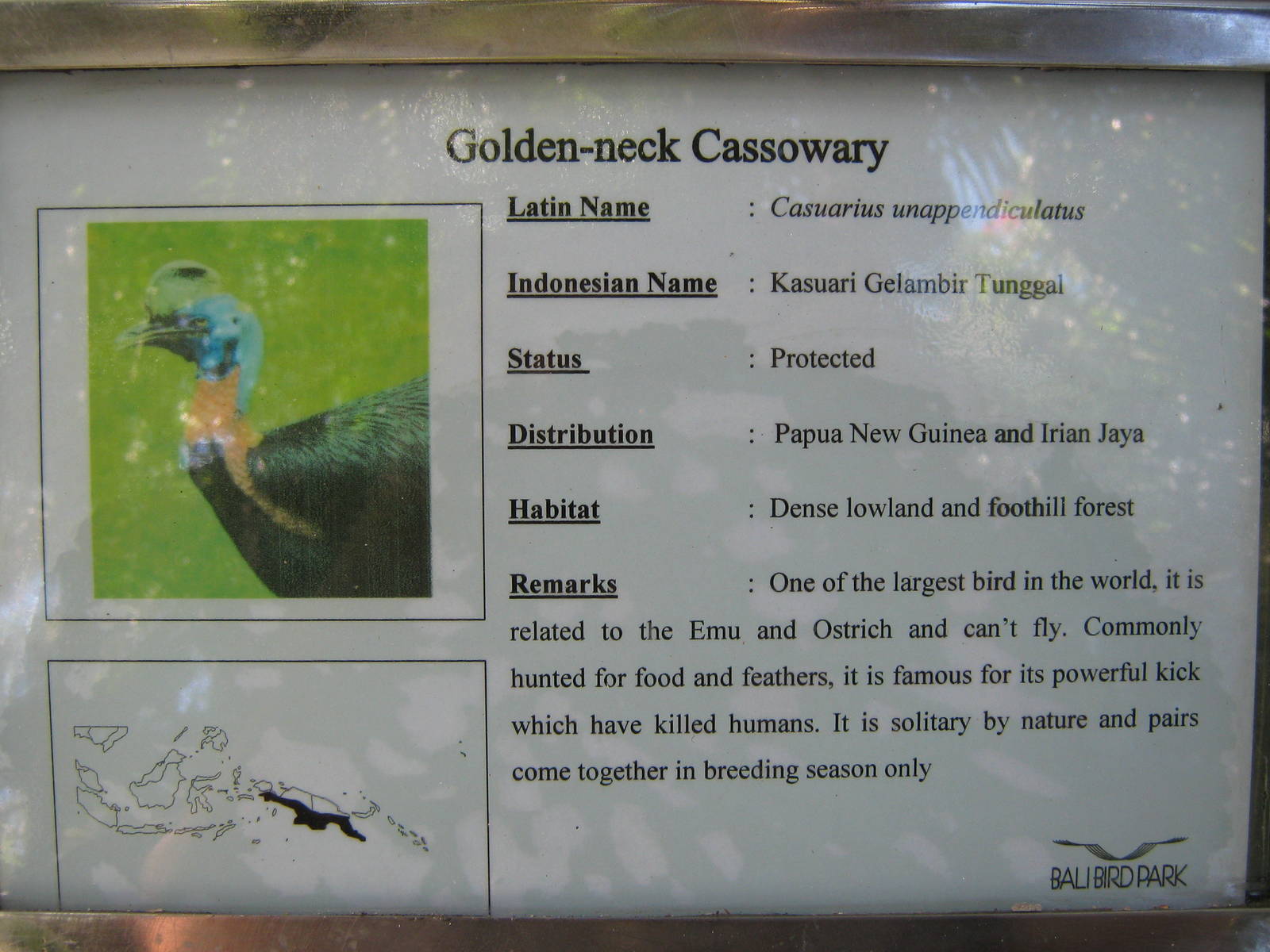 example of signage at the Bali Bird Park