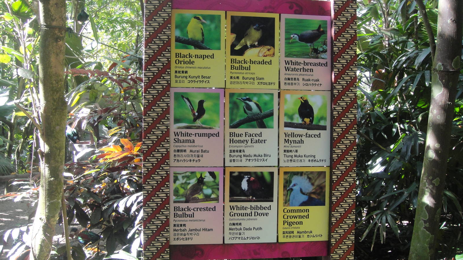 Example of signage at the central free-flying area of asian aviary
