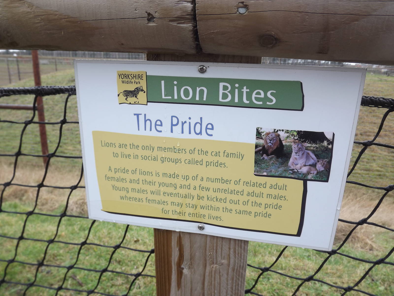 Example of signage at Yorkshire Wildlife Park 18/02/12