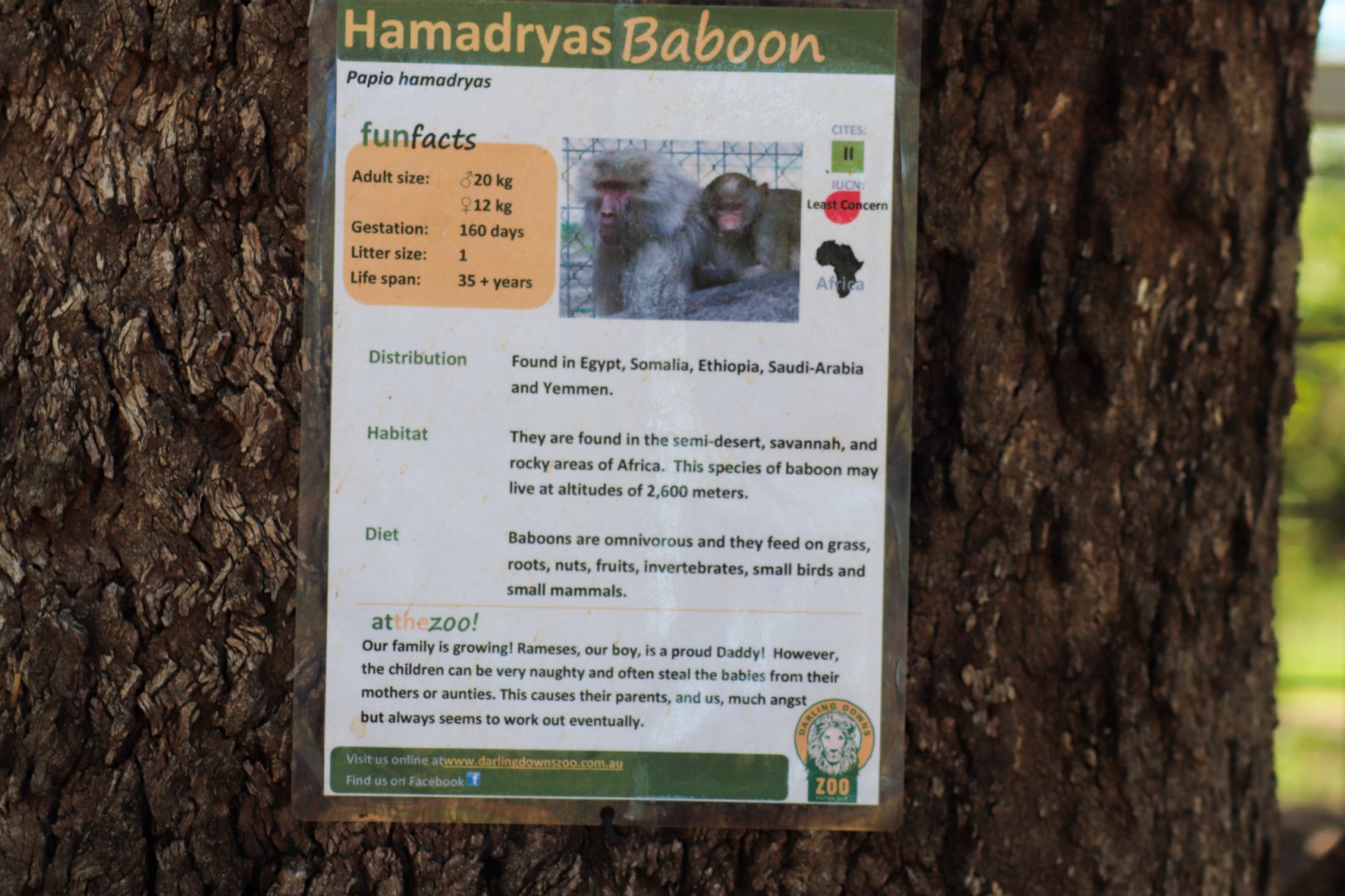 Example of Signage - December 2018