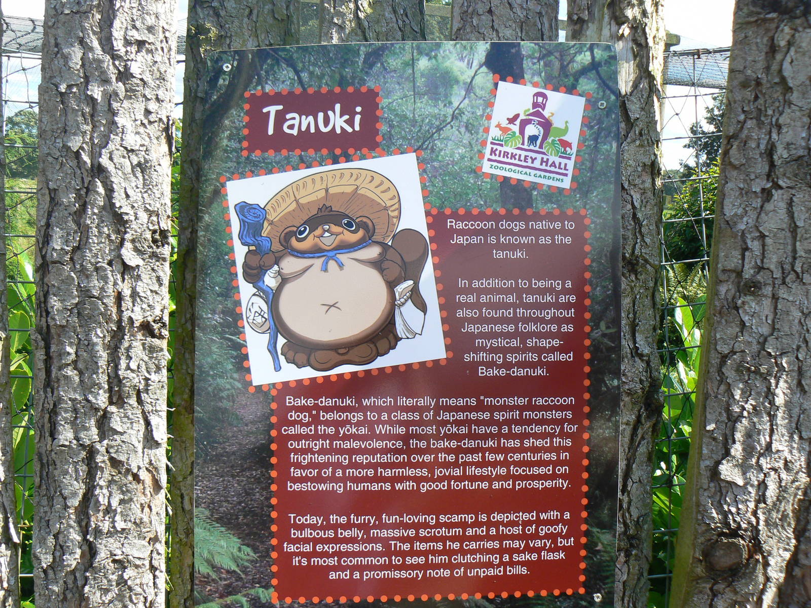 Example of Signage for Raccoon Dogs - 6 August 2016, Kirkley Hall Zoologica