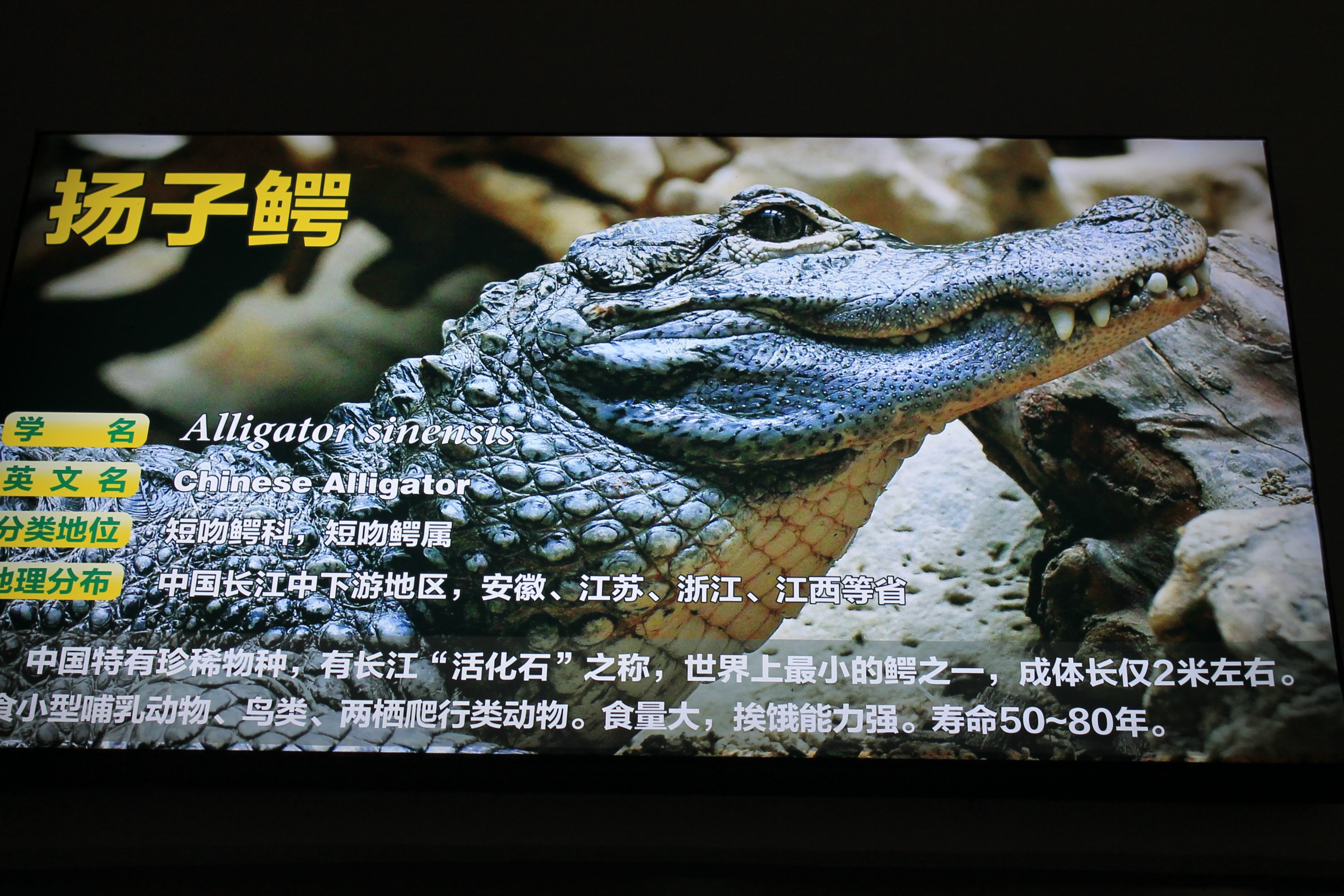 Example of signage in Reptile House