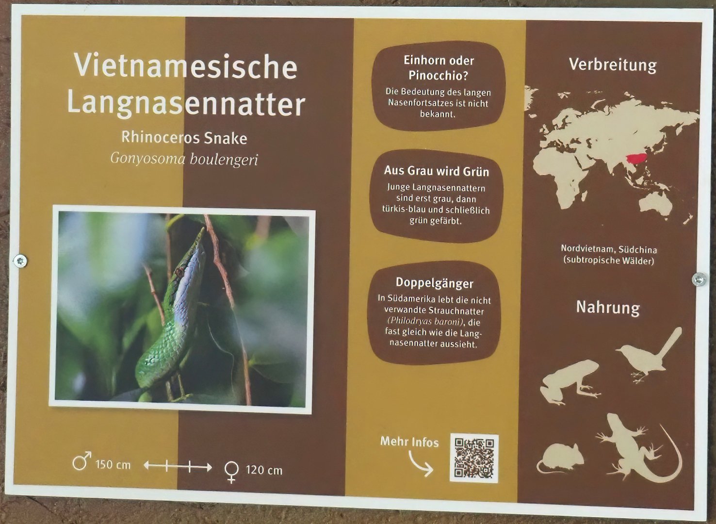 Example of signage in the aquarium and terarrium room, for Rhinoceros snake, 2025-05-22