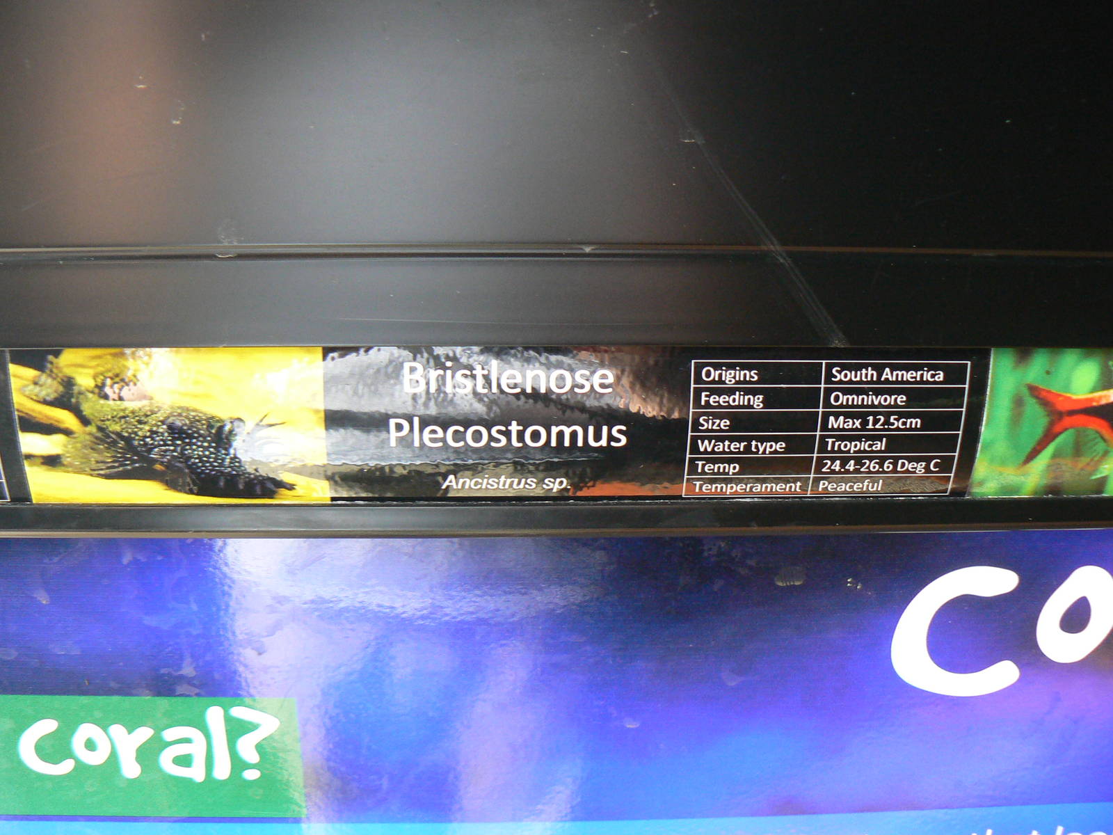 Example of Signage in the Aquatics Room - 6 August 2016, Kirkley Hall Zoolo