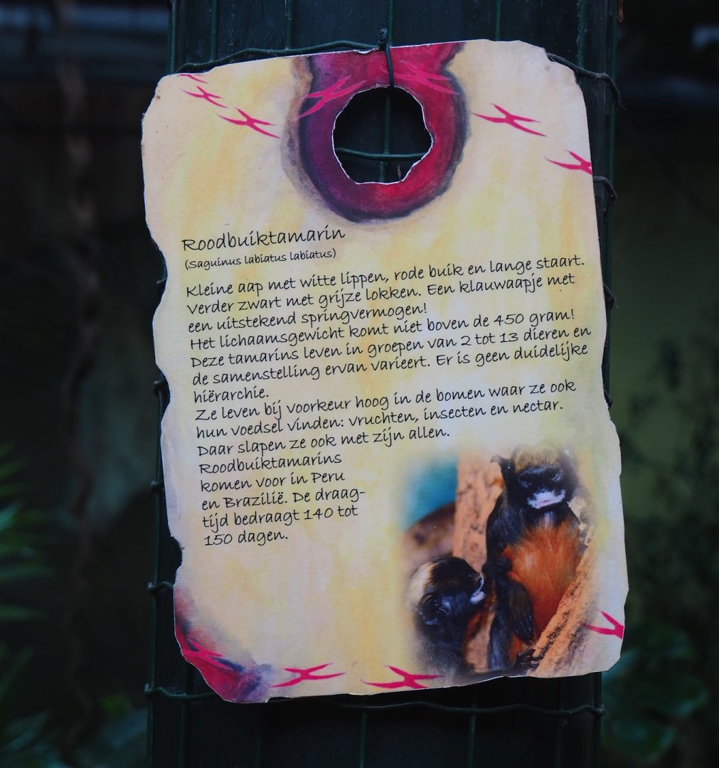 Example of signage in Urucu - Red-bellied tamarin, 2023-08-17