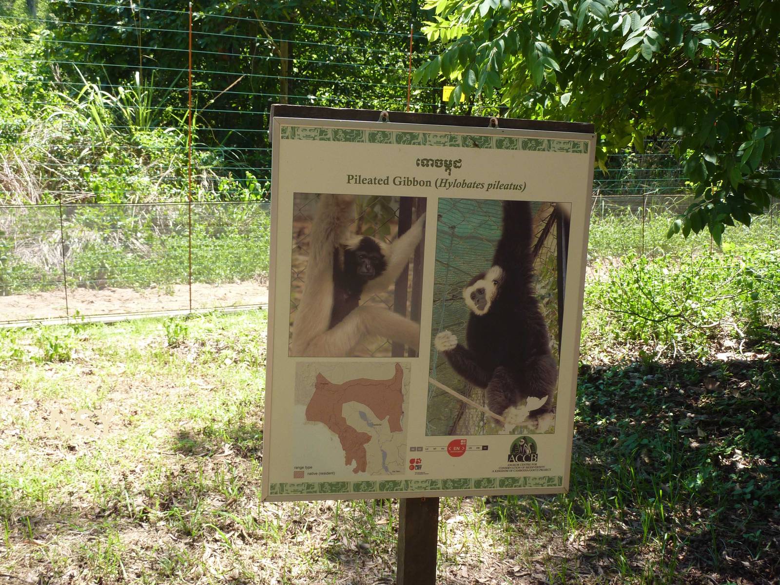 Example of signage, May 2013