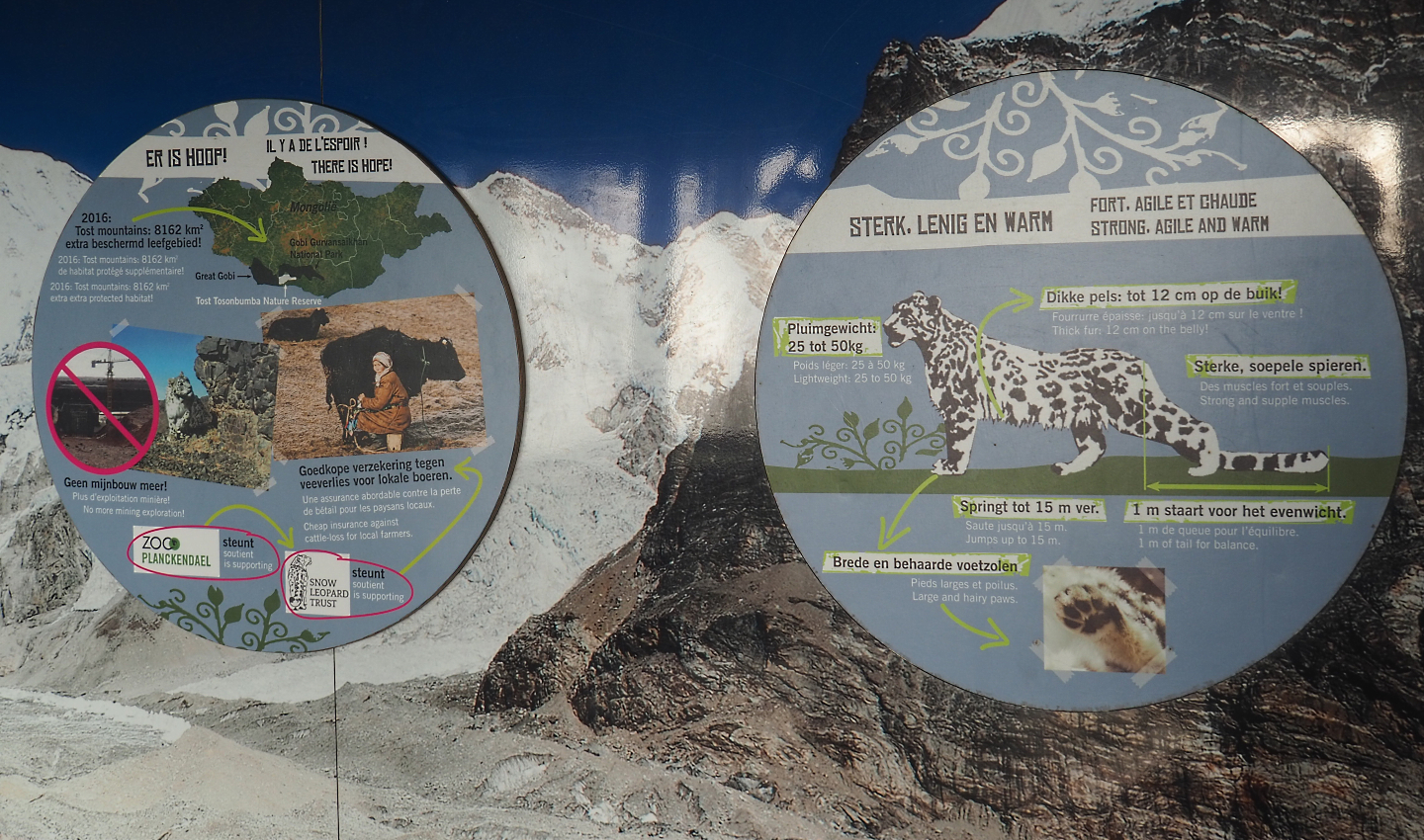 Example of signage on snow leopard education wall - Conservation and adaptations, 2022-02-12
