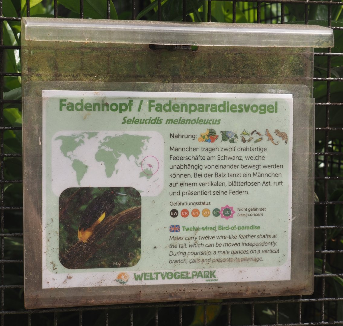 Example of signage - Twelve-wired bird-of-paradise sign, 2024-05-21