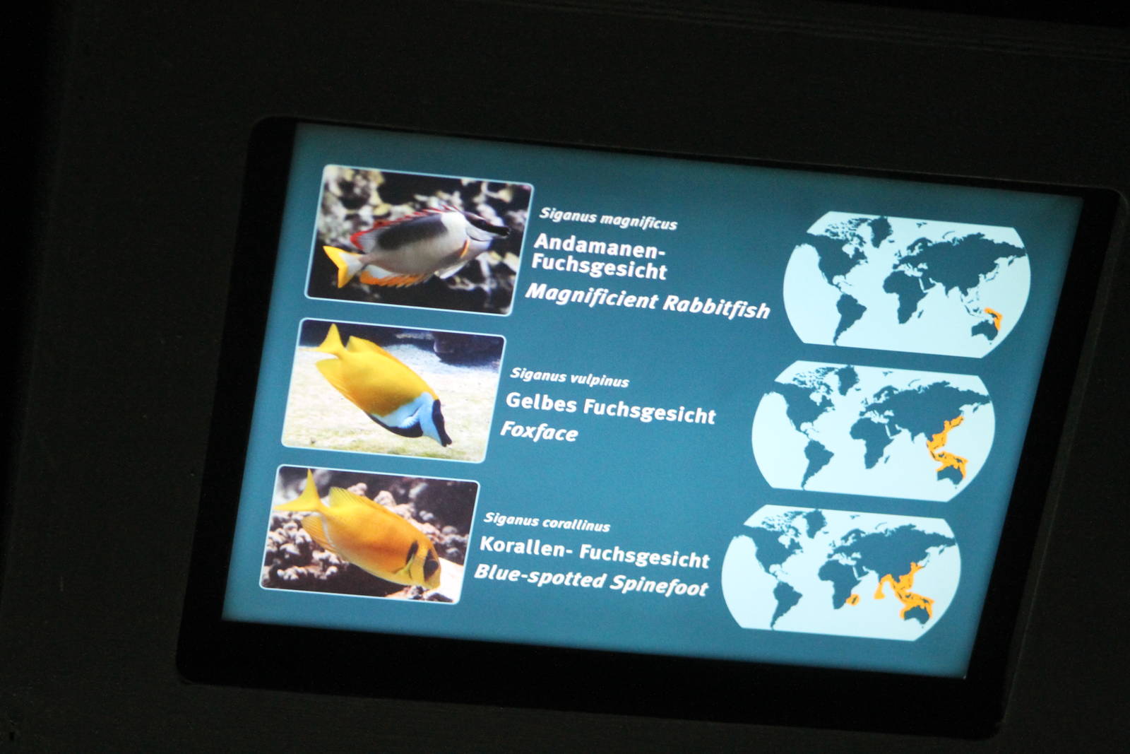 Example of signs at the Troparium