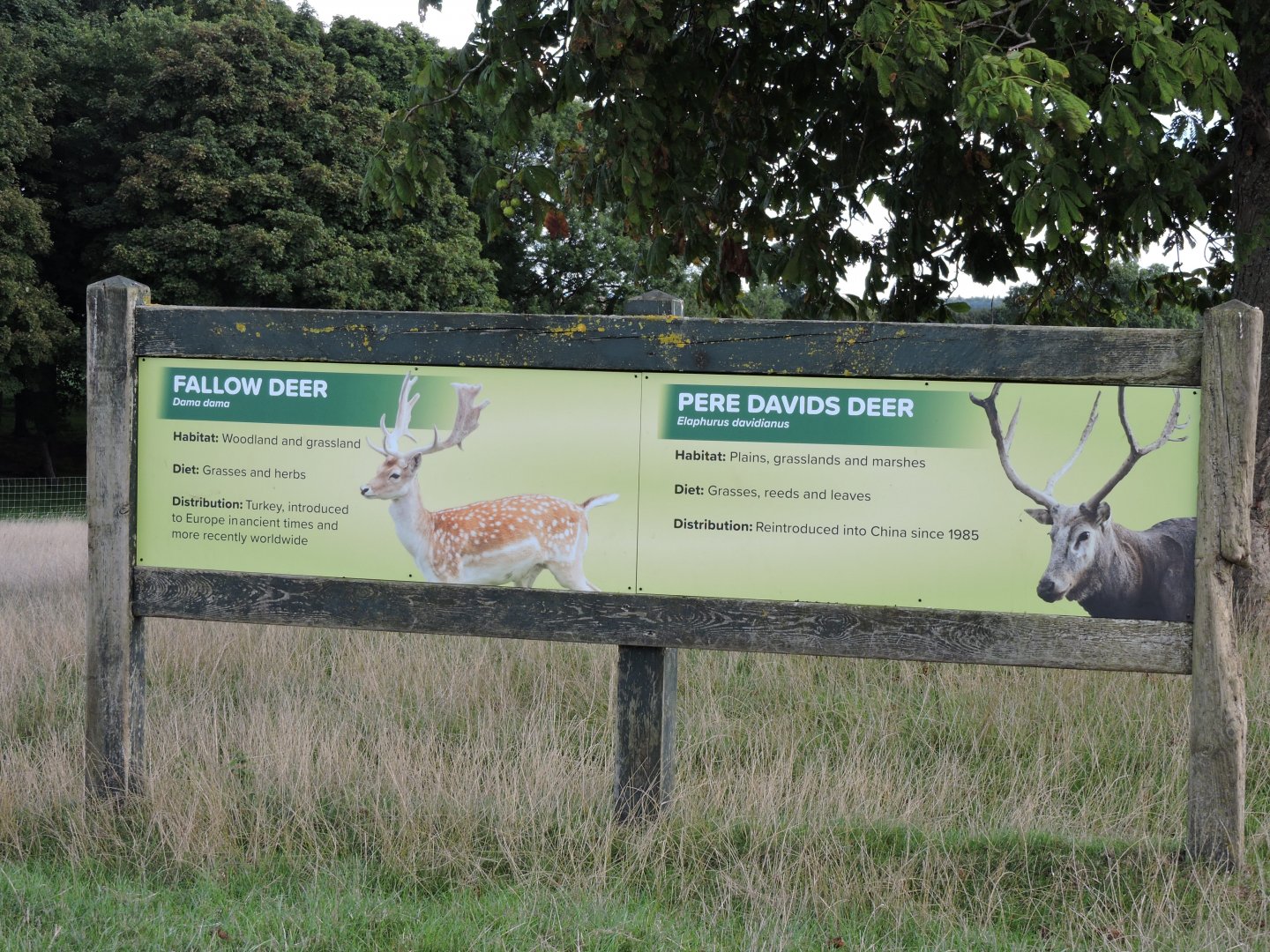 Example of smart new signs