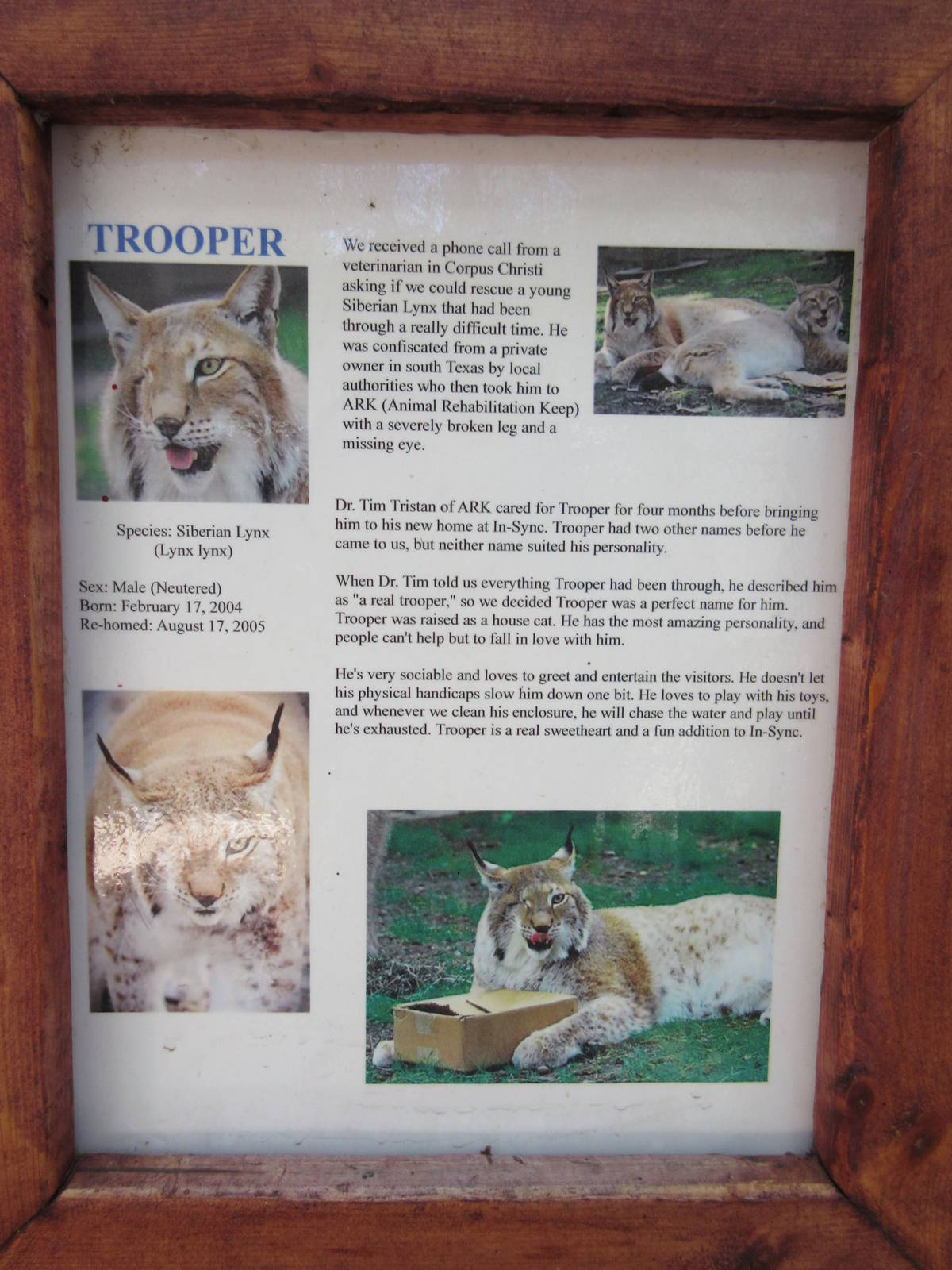 Example of story on each cage