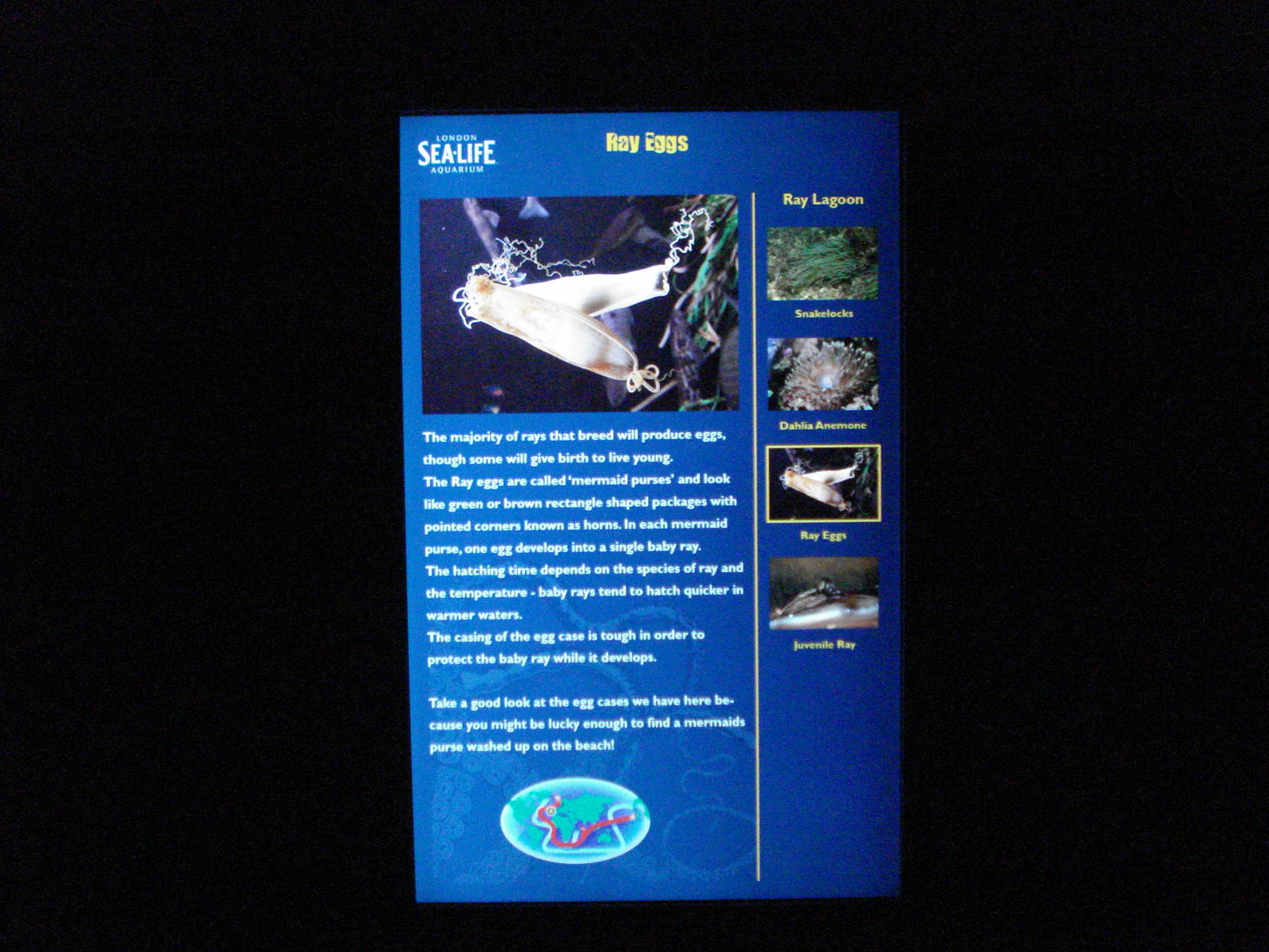 Example of tank labels, 02/05/2009