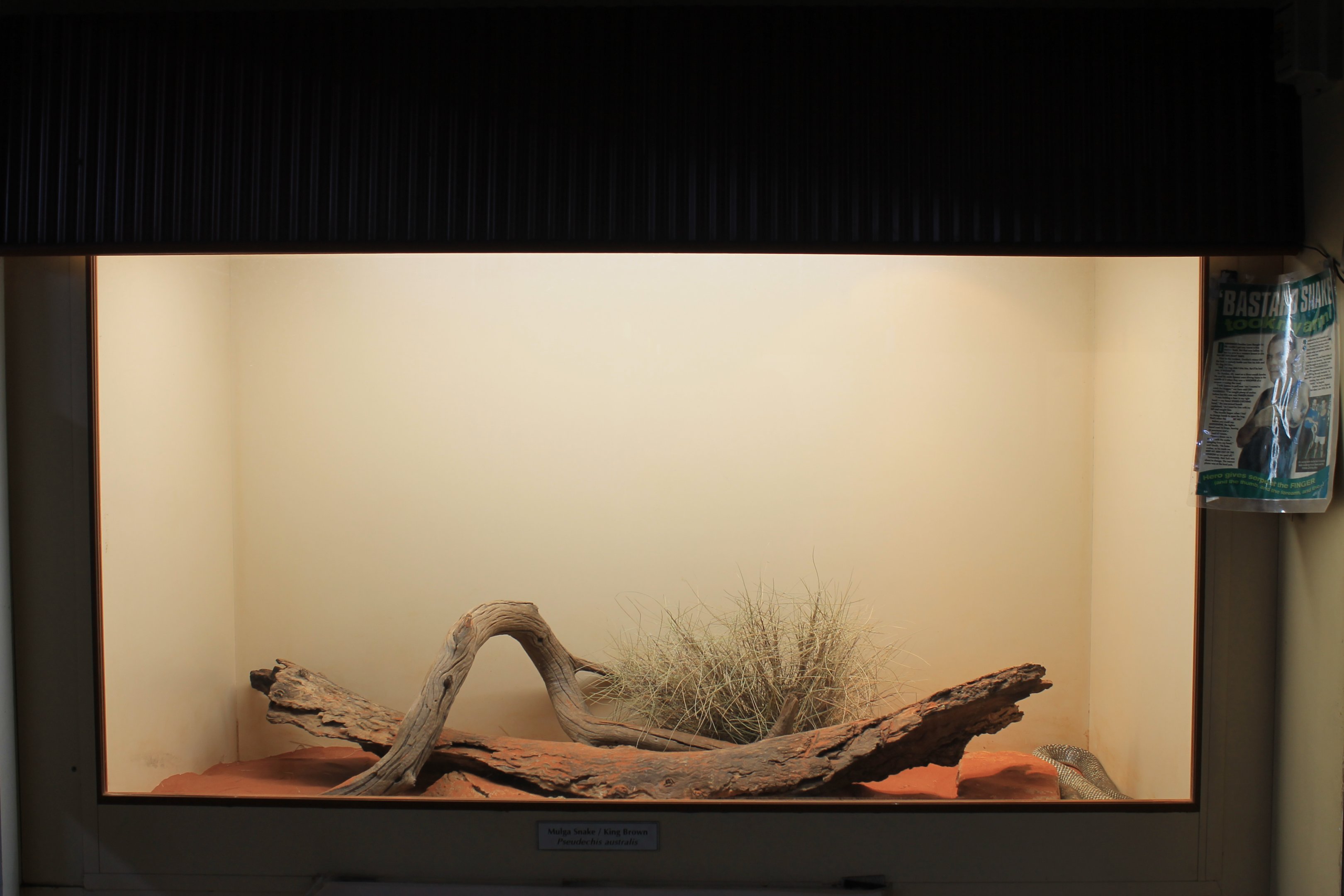 Example of terrariums