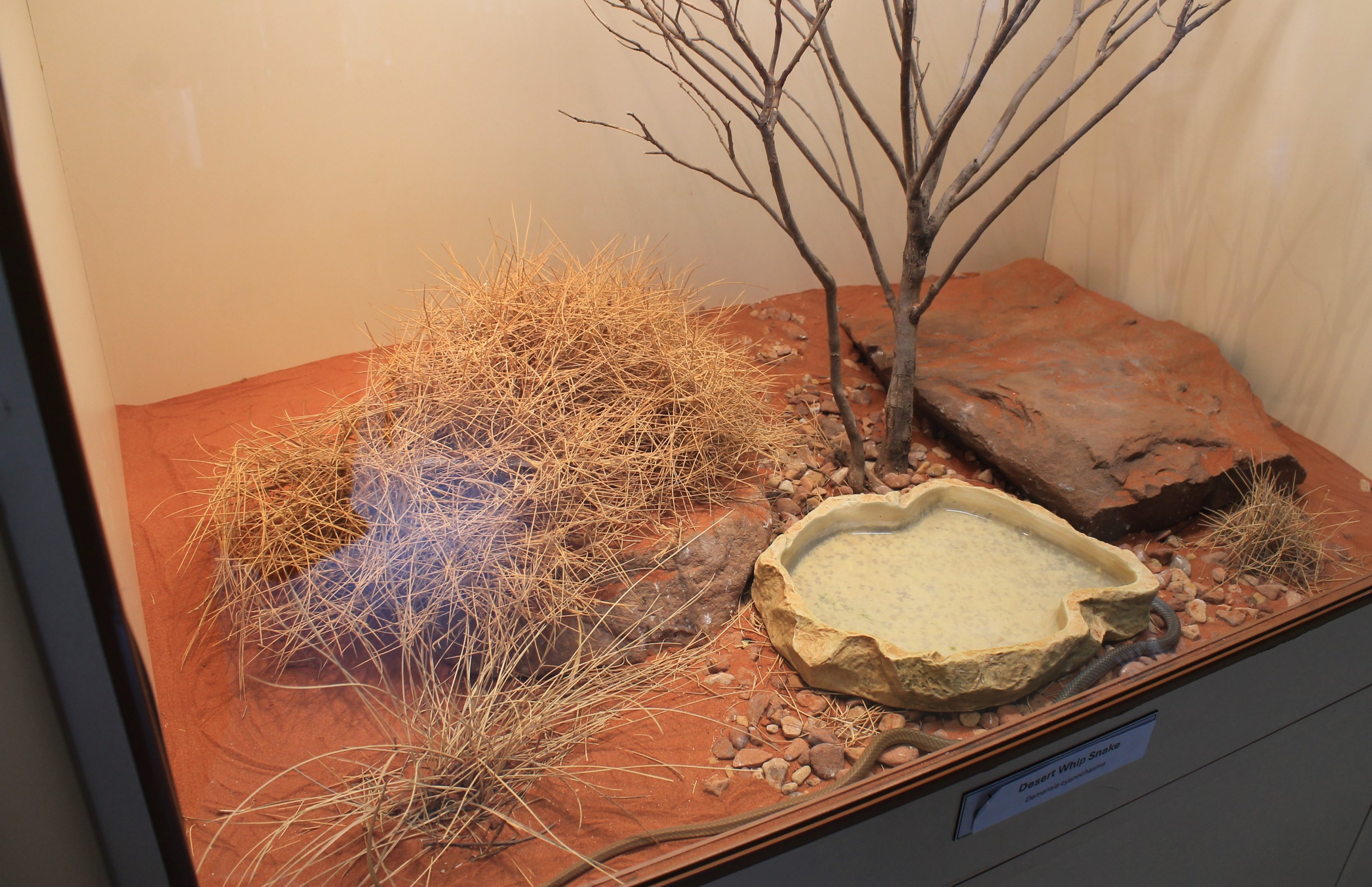 Example of terrariums