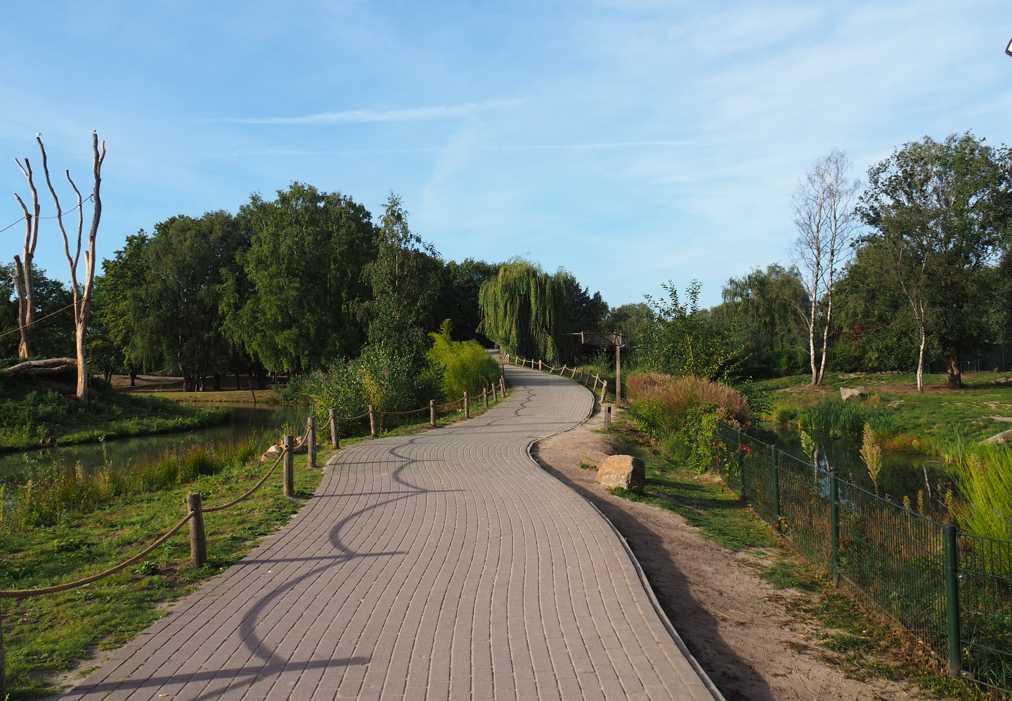 Example of the walking safari pathways near the first lion exhibit and the first gorilla island, 2019-09-15