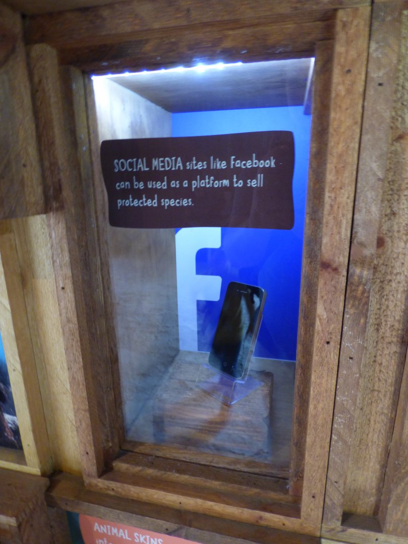 Example of wildlife trade eduction display
