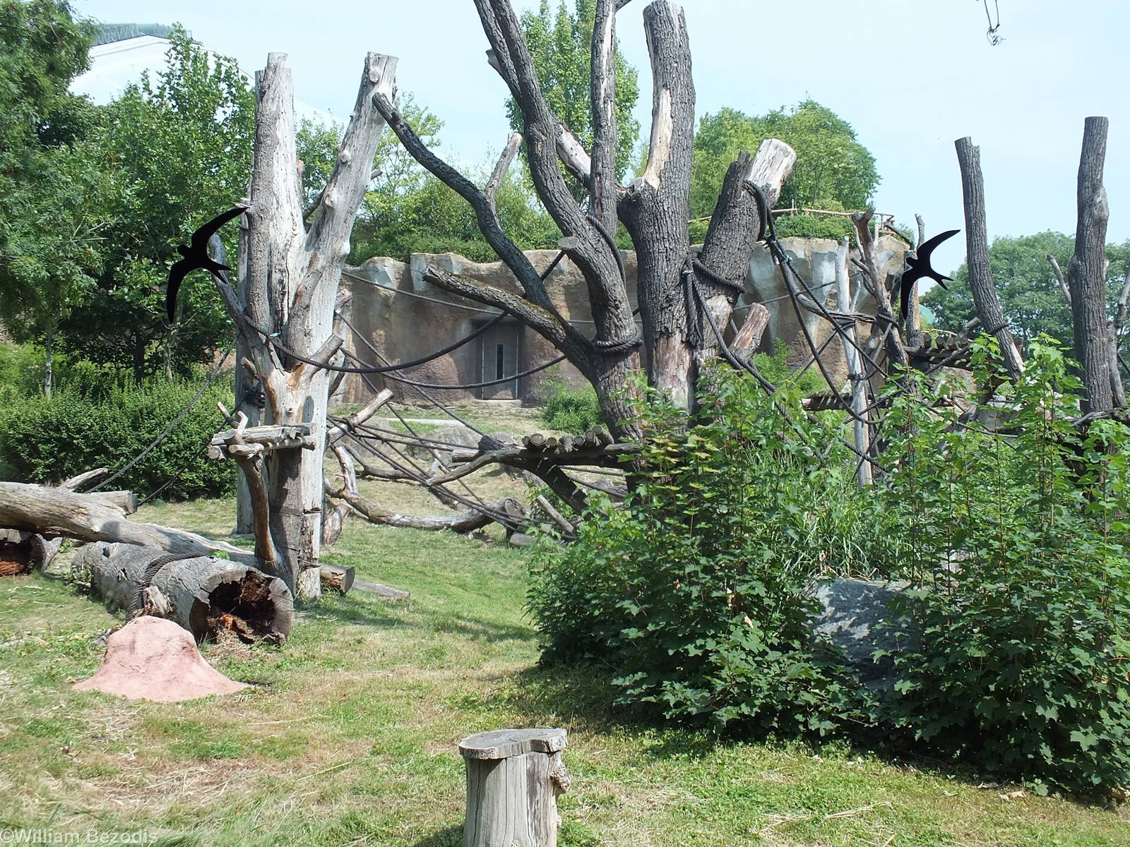 Example Outdoor Ape Enclosure in Pongoland