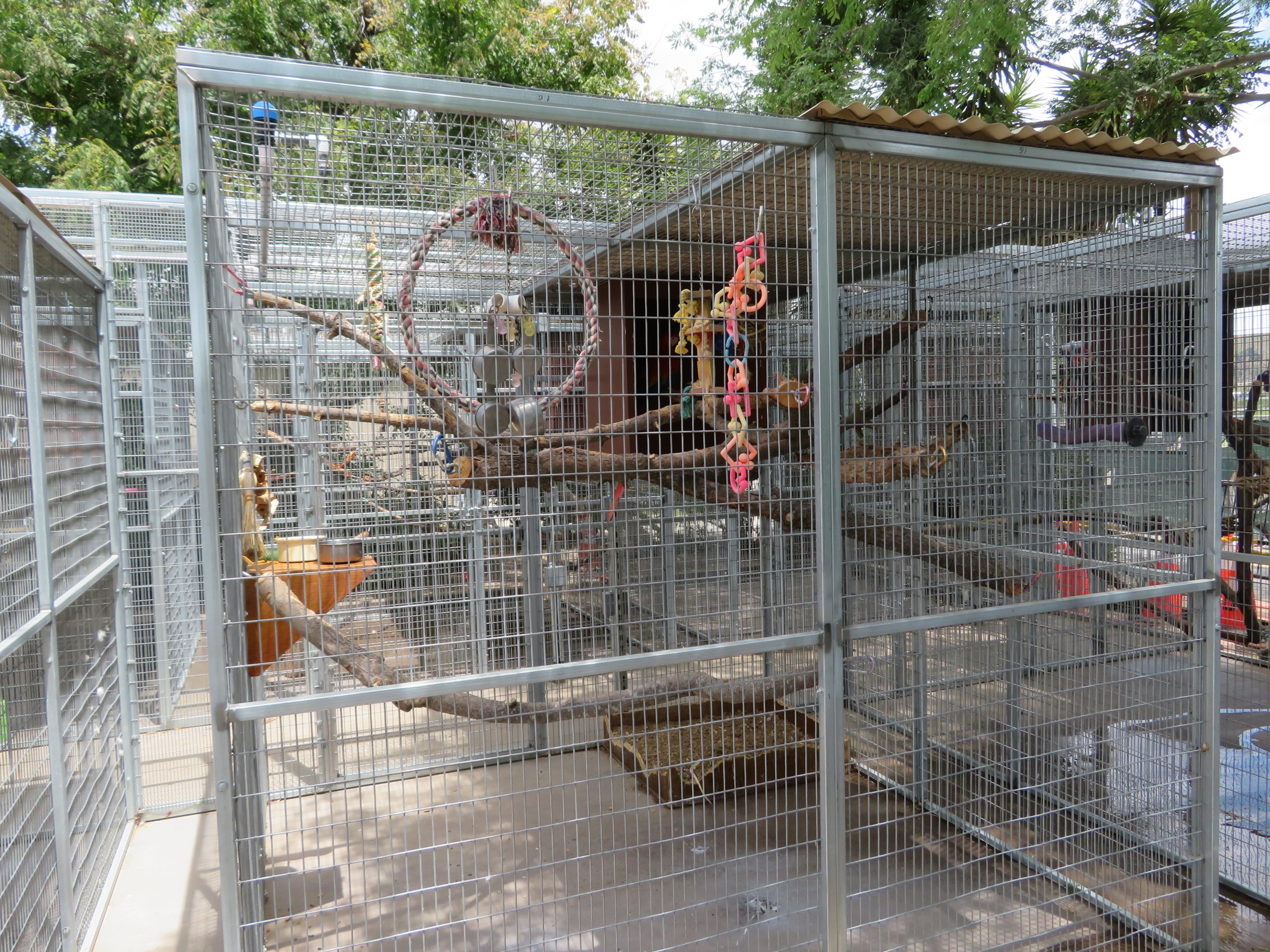 Example Parrot Cage
