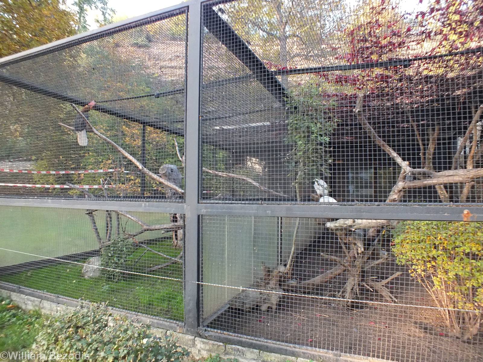 Example Pheasantry Enclosures