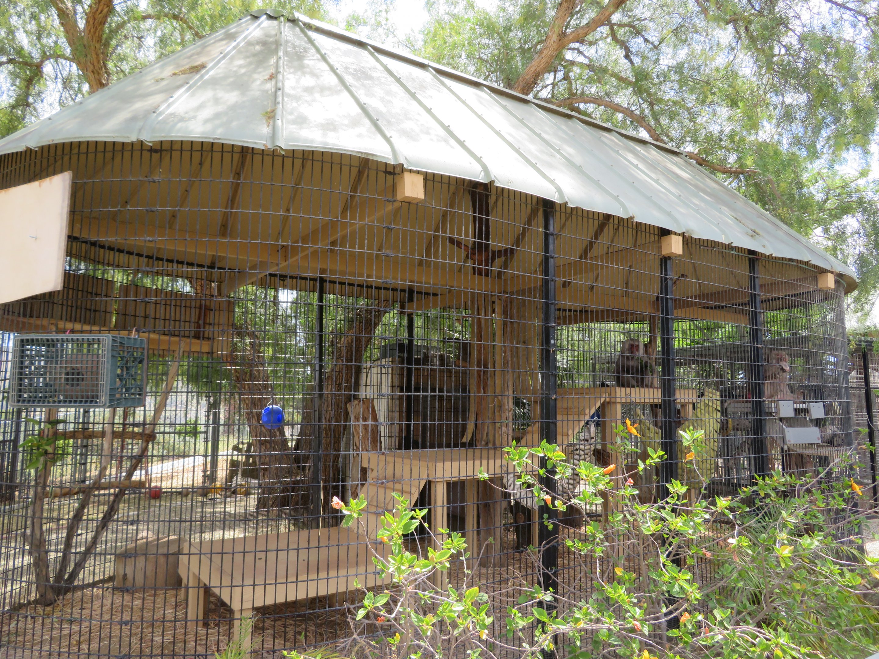 Example Primate Enclosure