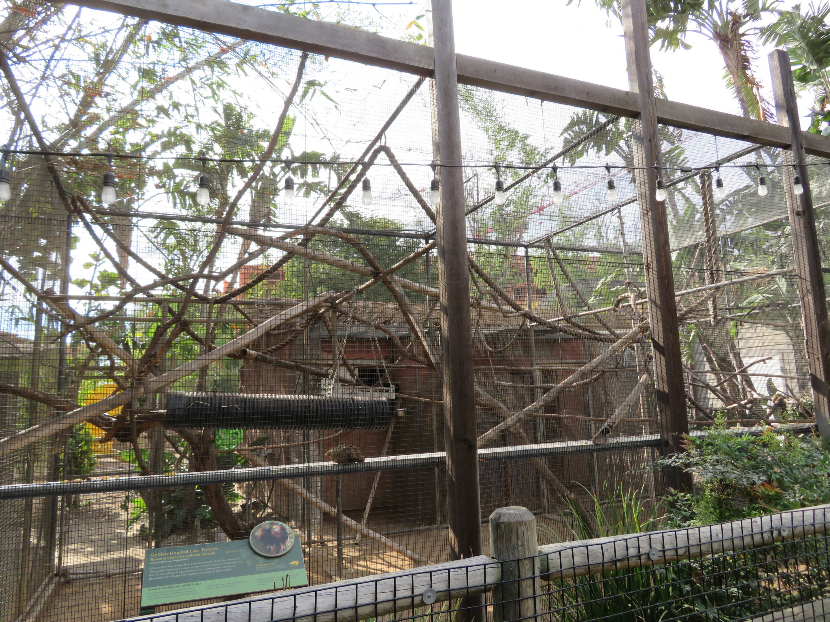 Example Primate Exhibit