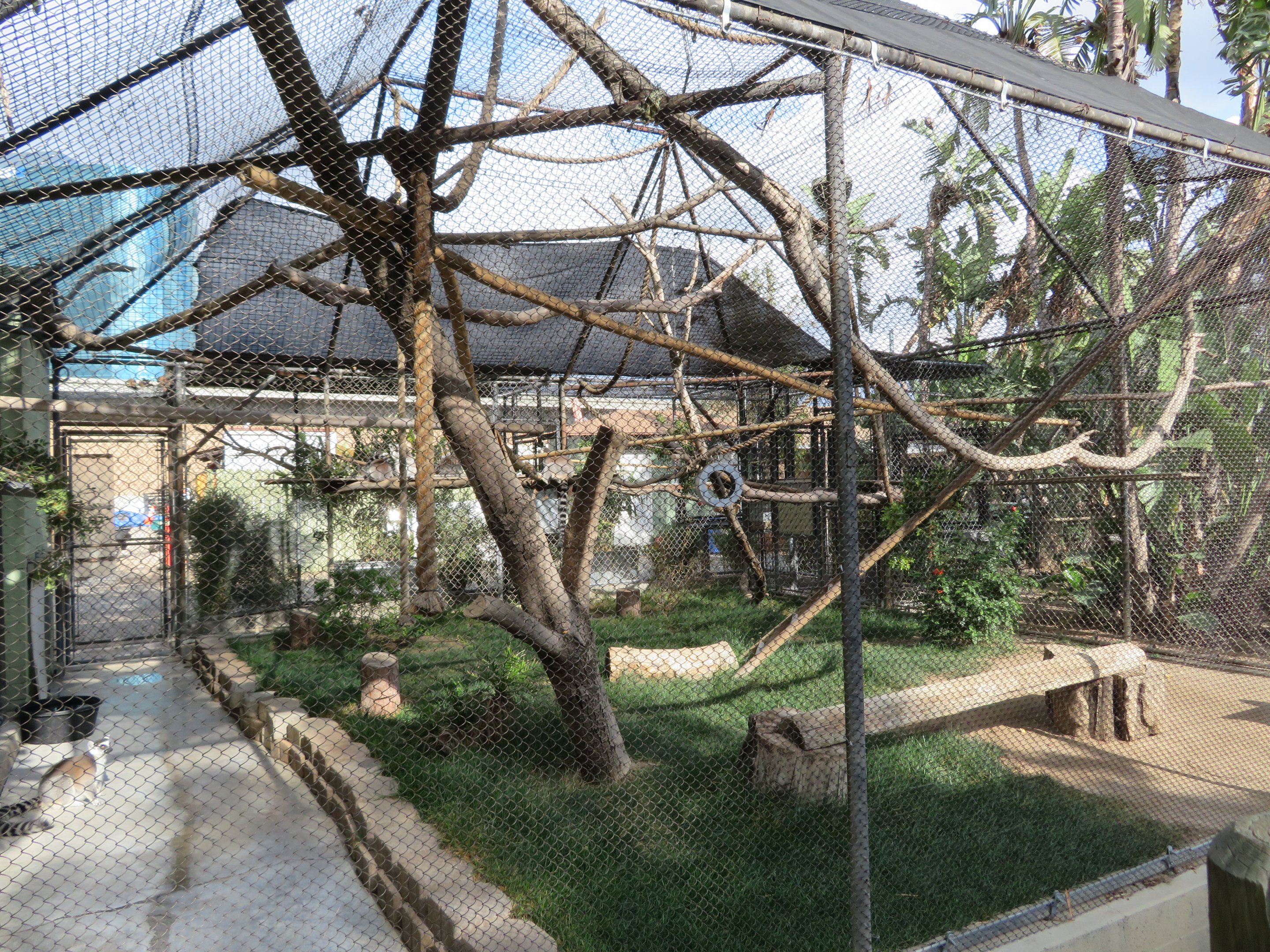 Example Primate Exhibit