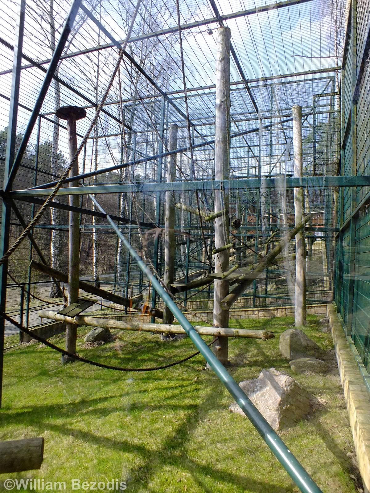 Example Primate Outdoor Enclosure