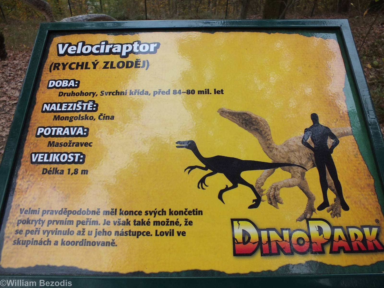 Example Sign in the DinoPark