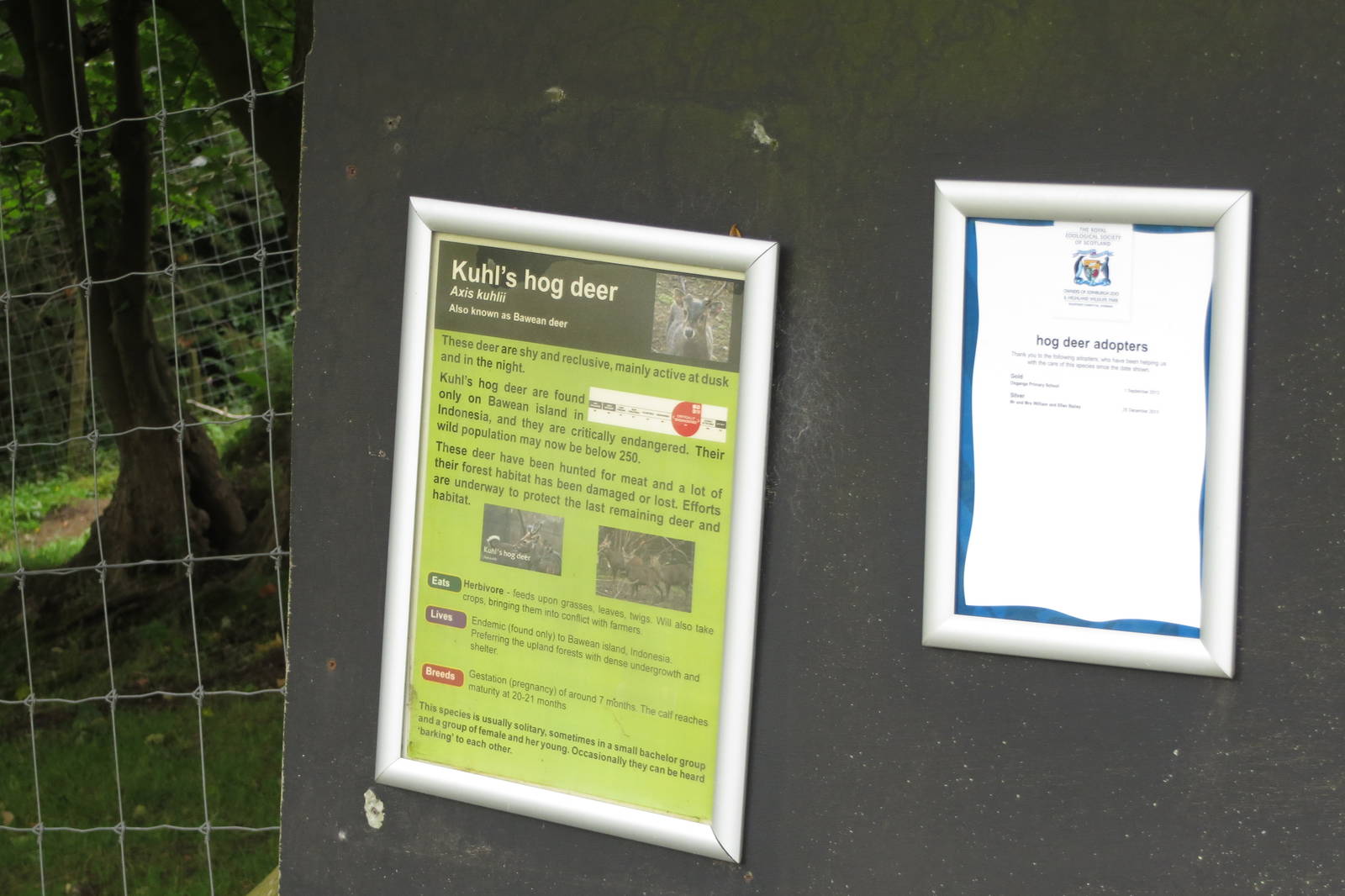 Example signage 240815