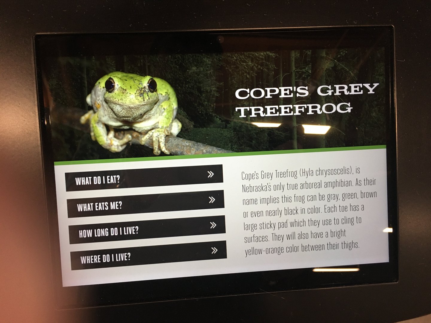 Example Signage after Renovation