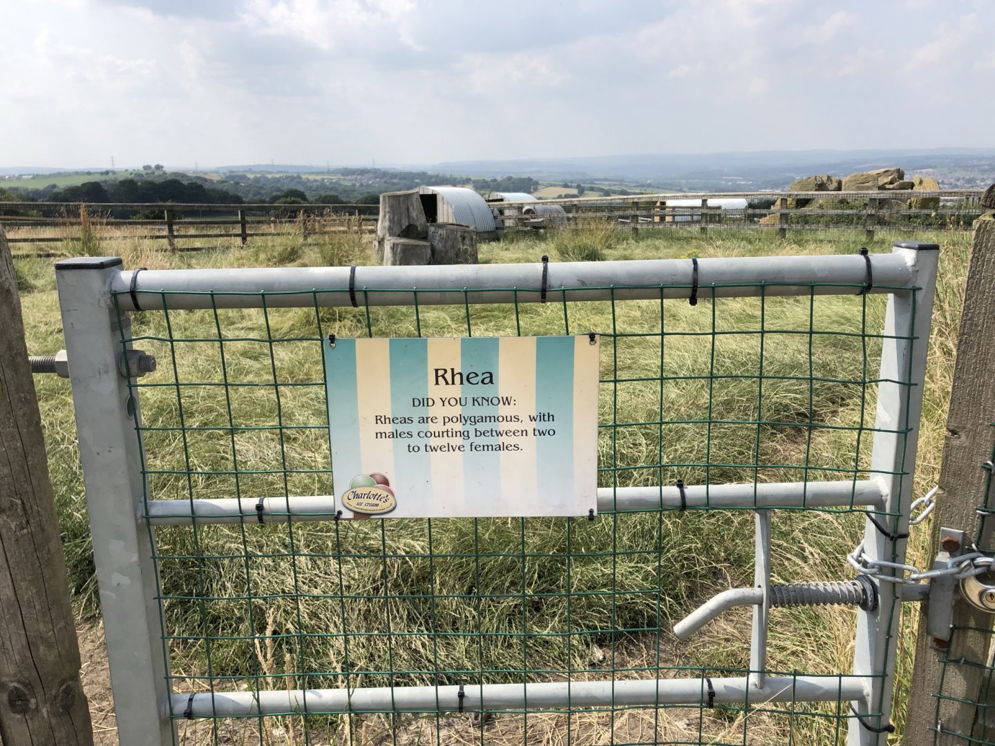 Example Signage at Charlotte's Ice Cream Parlour (July 2021)