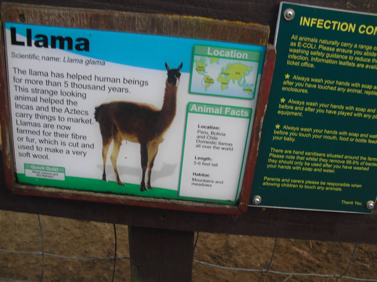 Example Signage (Llama) - 16/10/2011