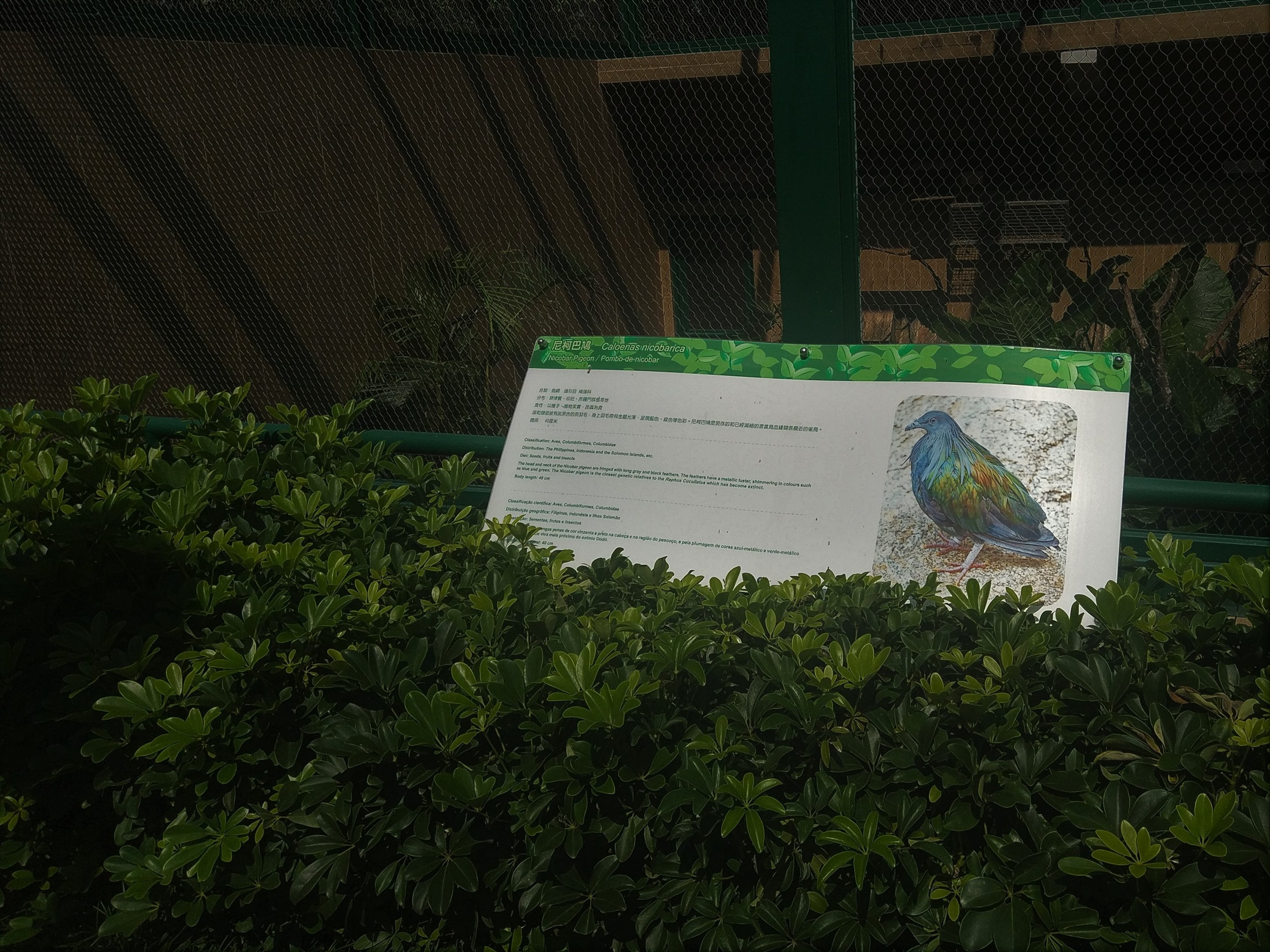 Example Signage