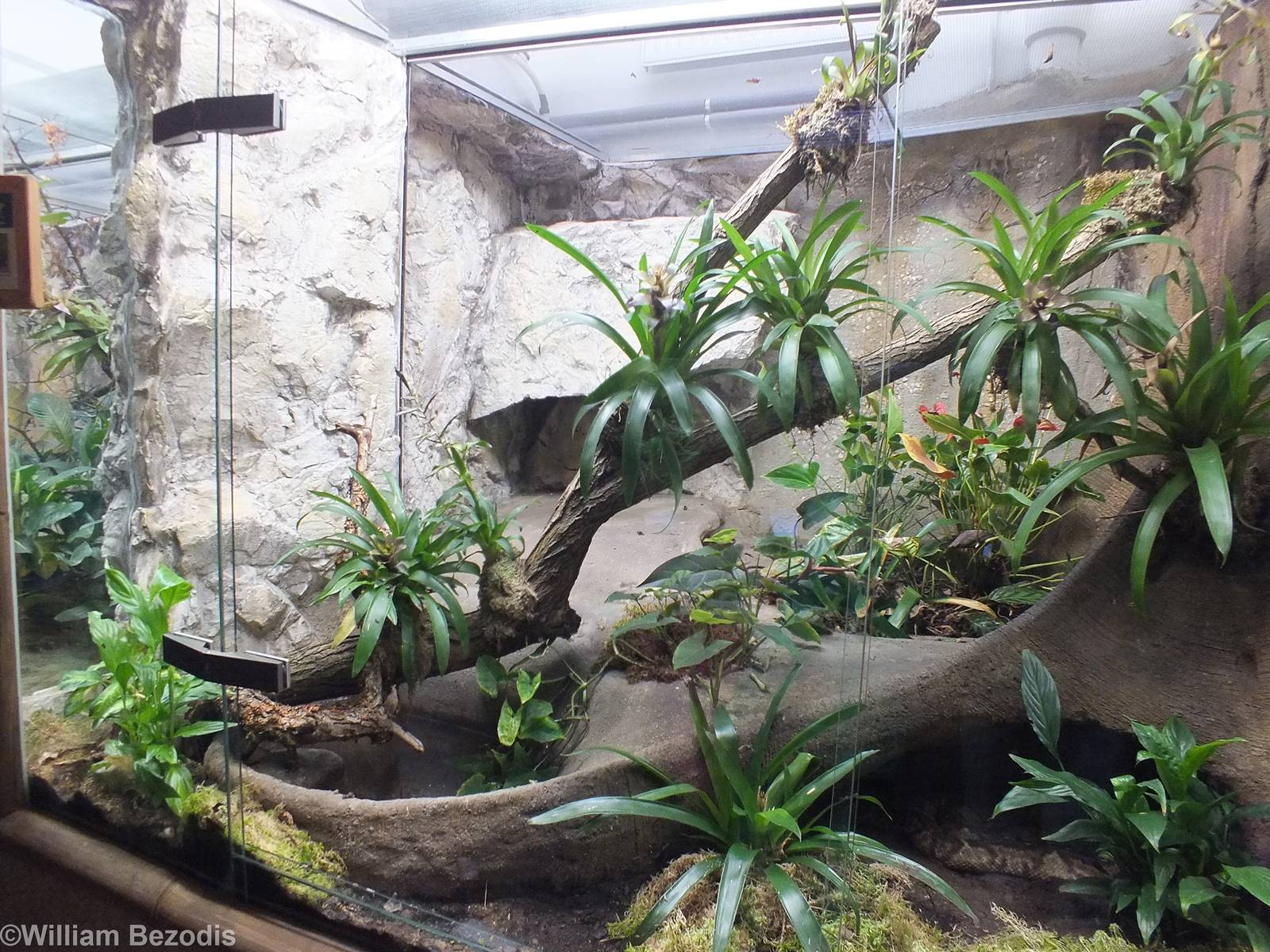 Example Snake Enclosure