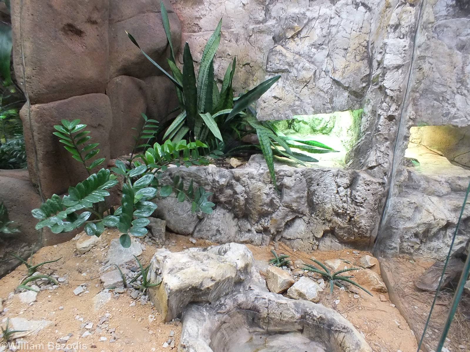 Example Snake Enclosure