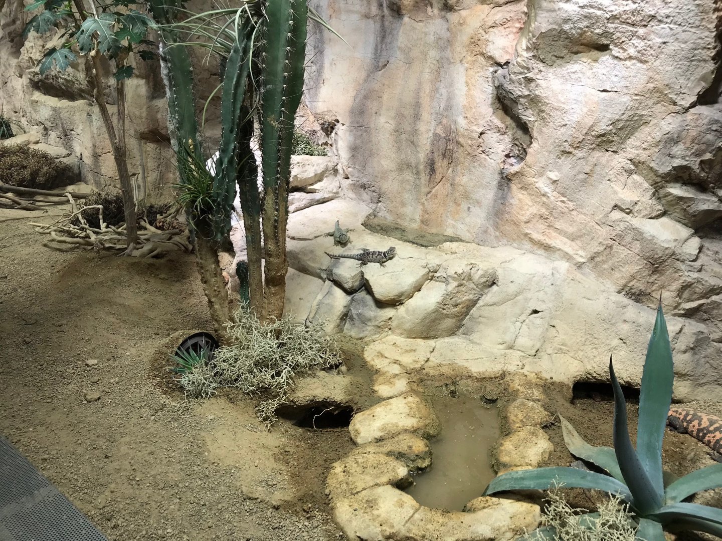 Example terrarium 270118