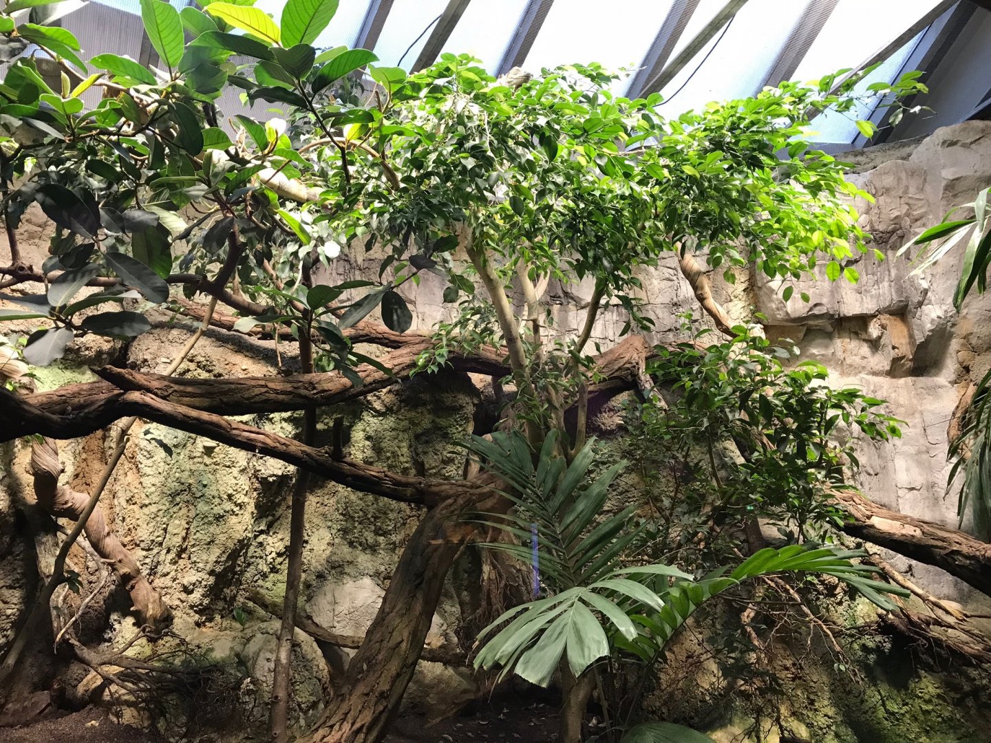 Example terrarium 270118