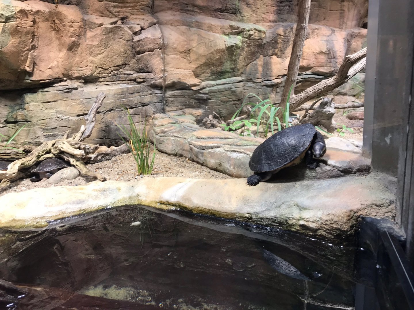 Example terrarium 270118