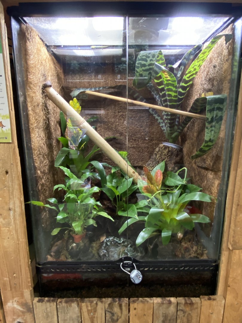 Example vivarium 050820