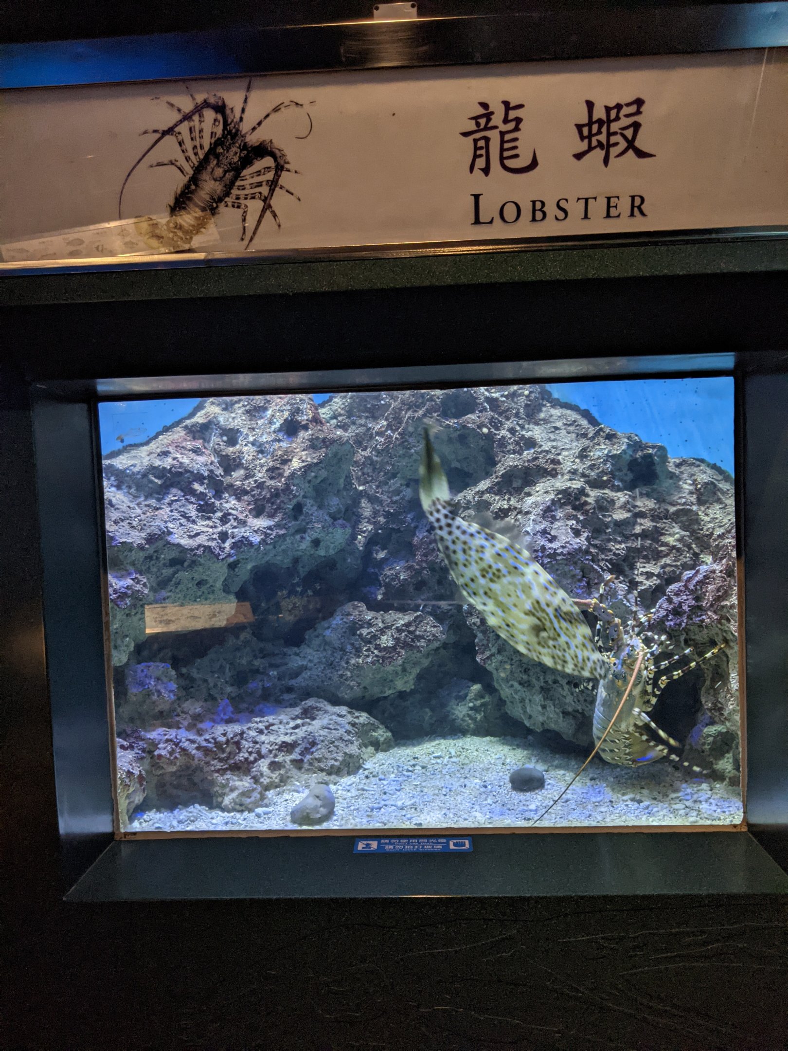 Examples of bad signage