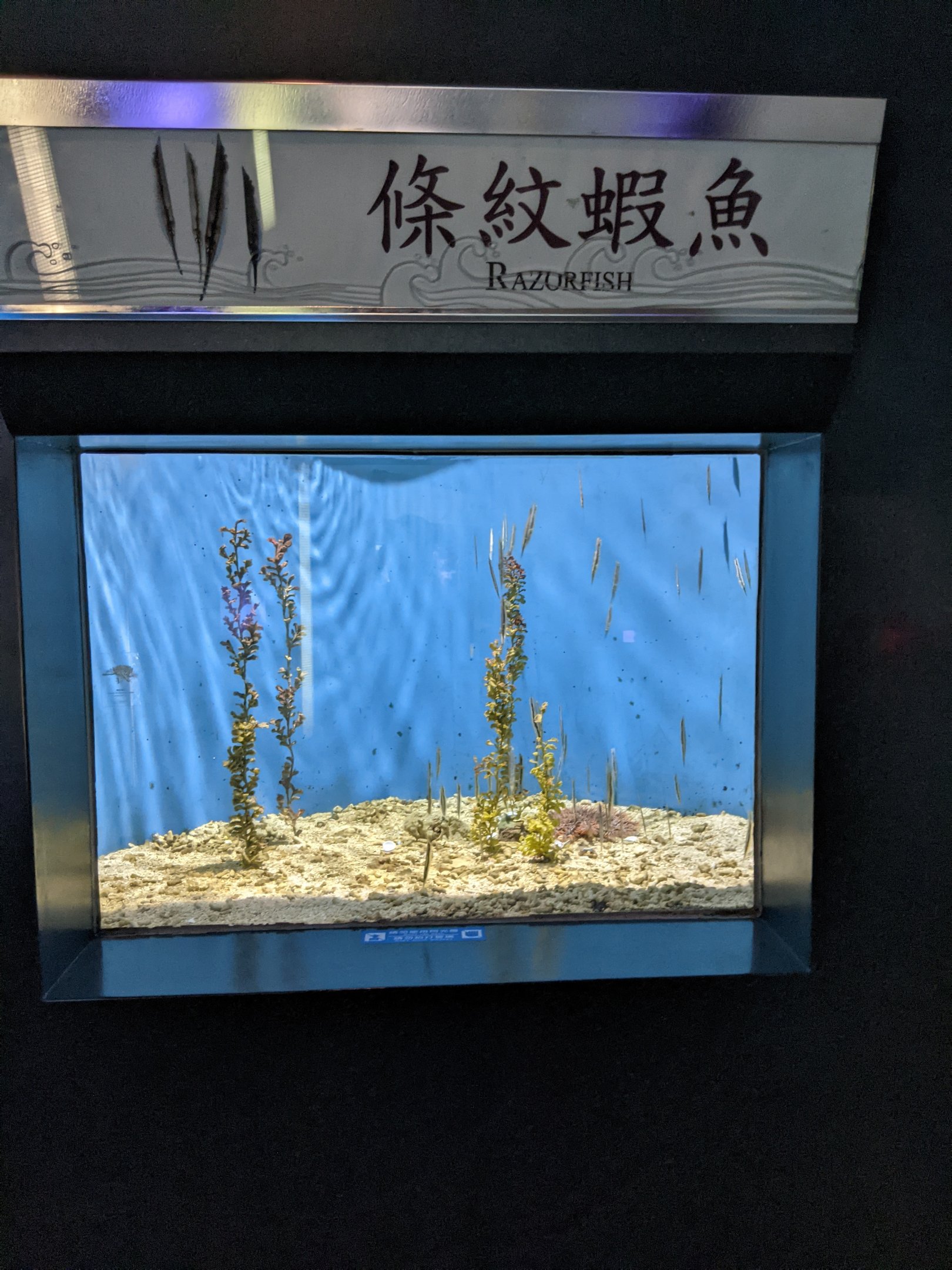 Examples of bad signage