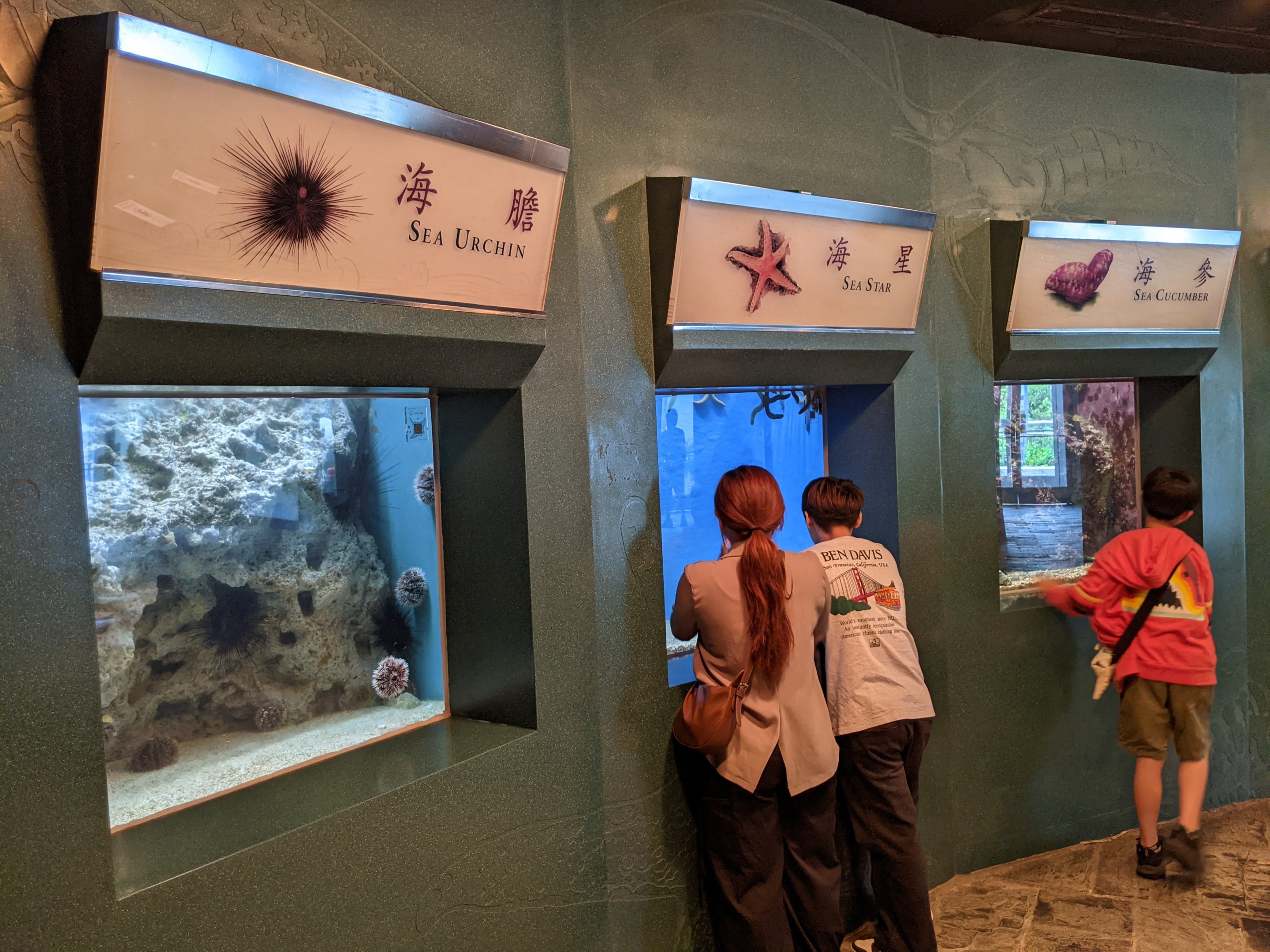 Examples of bad signage