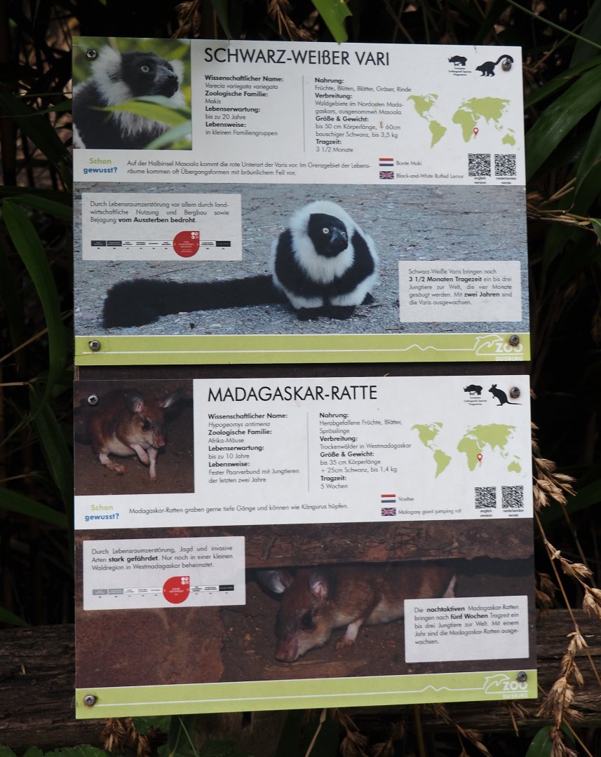 Examples of signage for Black-and-white ruffed lemur and Malagasy giant jumping rat, 2024-06-08