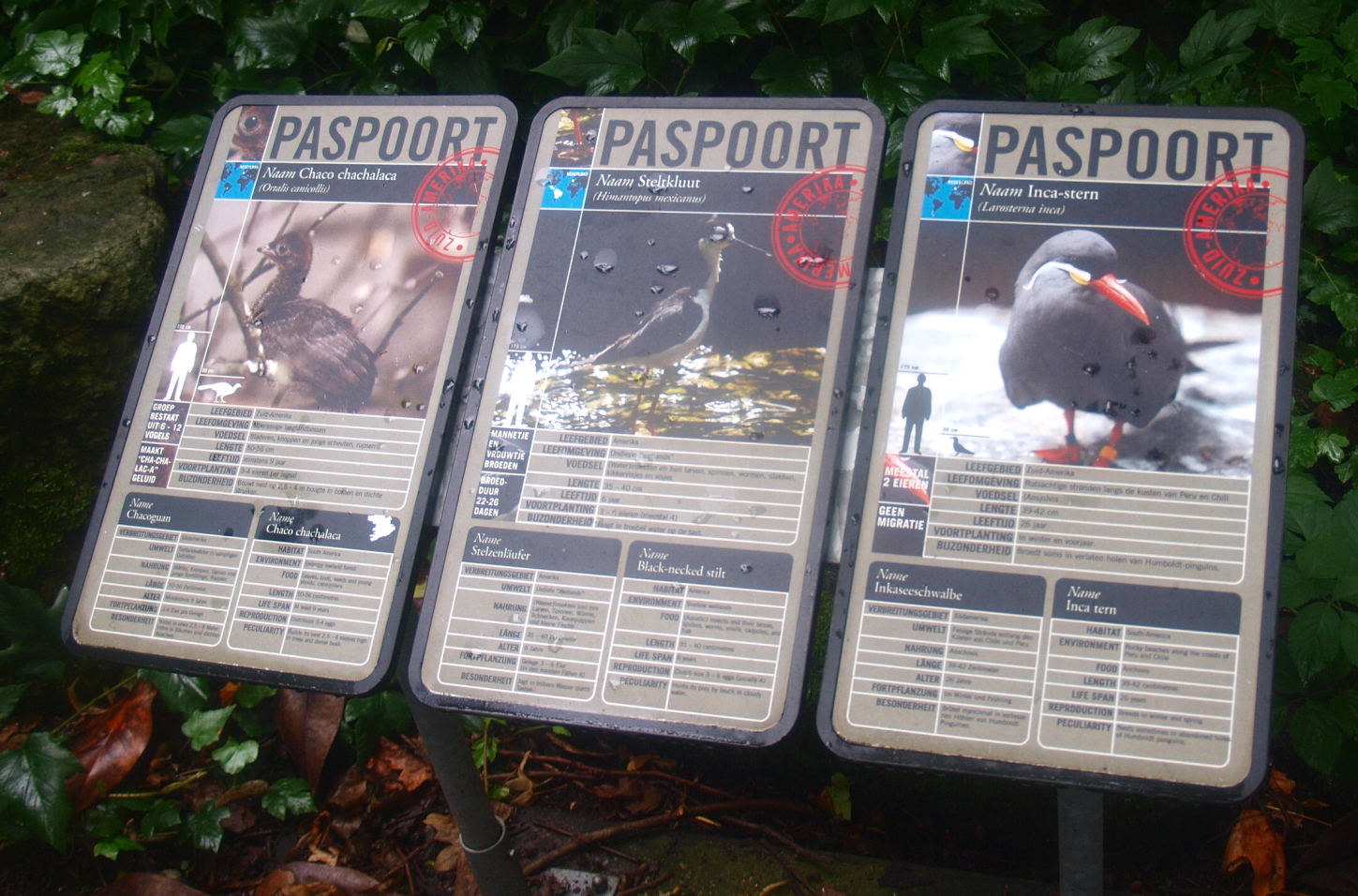 Examples of signage from the American bird garden, 2015-07-19