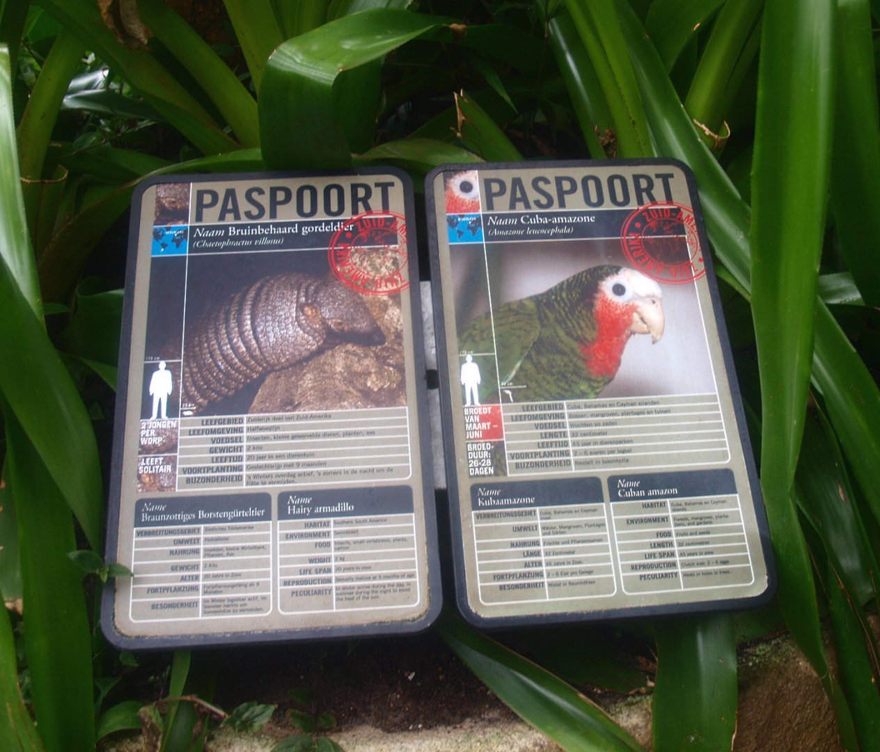 Examples of signage from the Americasa, 2015-07-19