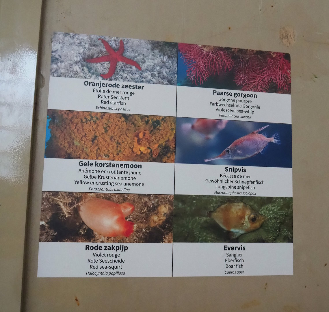 Examples of signage in the aquarium, 2022-08-16